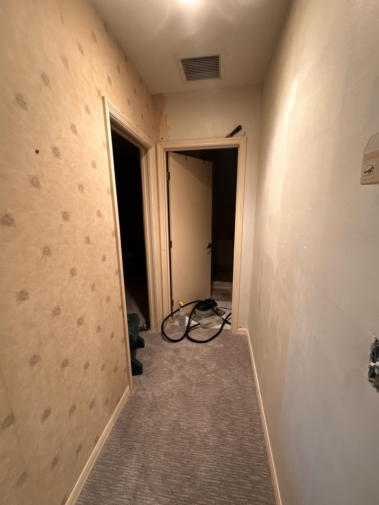 Wagner Spraytech 0282036 715 Power Wallpaper Steamer, Chemical Free Remover, Two Steam Plates Included, Long Run Time, Lightweight Design customer photo 1