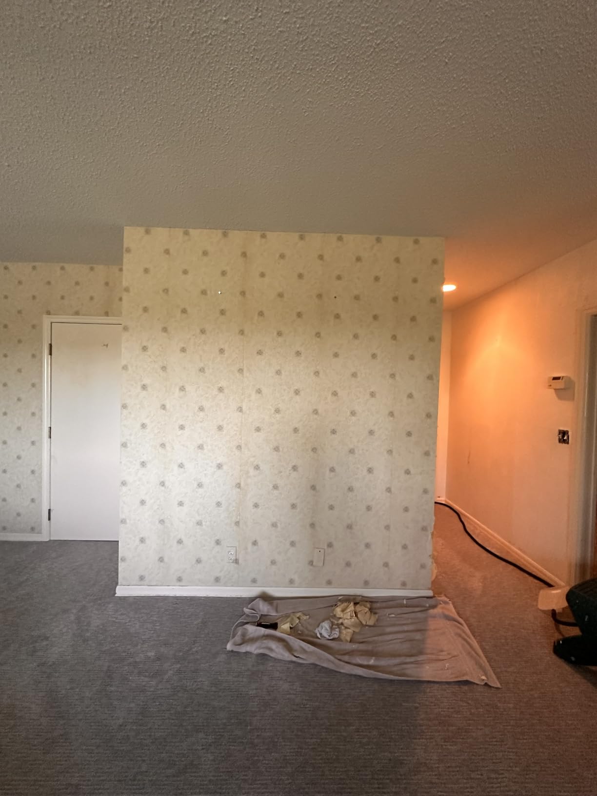Wagner Spraytech 0282036 715 Power Wallpaper Steamer, Chemical Free Remover, Two Steam Plates Included, Long Run Time, Lightweight Design customer photo 2