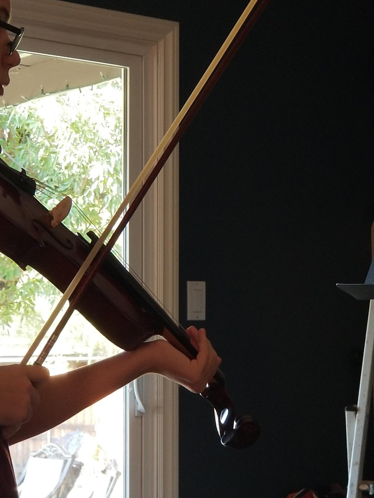 Fiddlerman Hybrid Wood and Carbon Fiber Violin Bow 4/4 customer photo 2