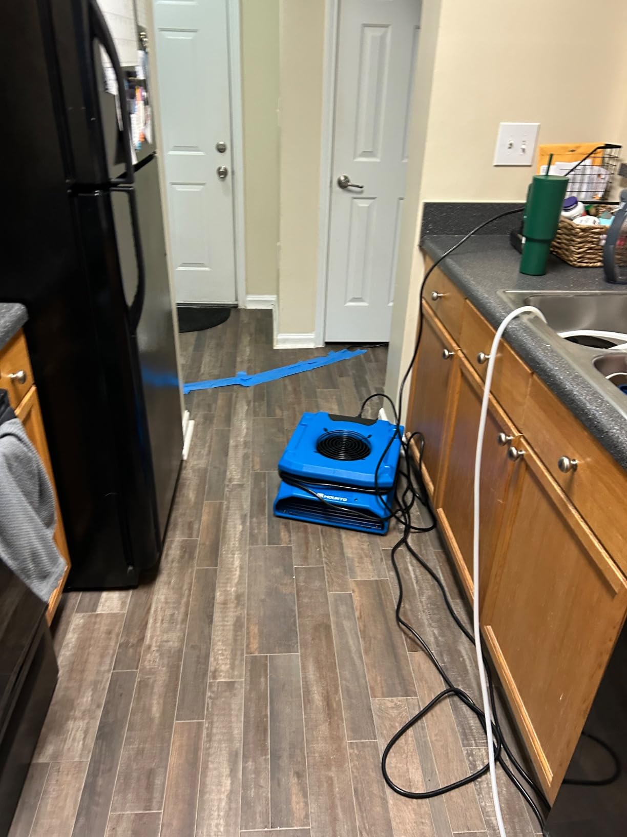 MOUNTO 1/4 HP 1200 CFM Low Profile Air Mover, 2-Speed Carpet Dryer Floor Fan with Dual GFCI Outlets, Stackable Lightweight Blower for Water Damage Restoration (Blue) customer photo 1