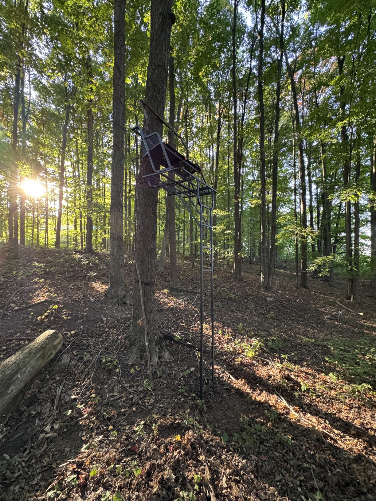 BIG GAME Striker XL Ladder Treestand 17.5 Foot Tall with Flip Back Seat, Padded Armrests, Deep Foot Platform, Ideal for Hunting and Shooting customer photo 1