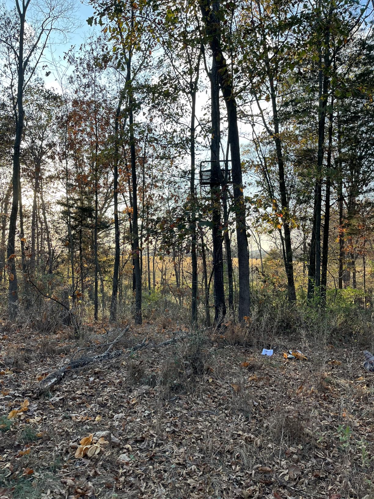 BIG GAME Striker XL Ladder Treestand 17.5 Foot Tall with Flip Back Seat, Padded Armrests, Deep Foot Platform, Ideal for Hunting and Shooting customer photo 2