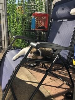 Amazon Basics Outdoor Patio Zero Gravity Lounge Chair with Pillow, Folding Reclining and Textilene Adjustable, Folding Lounge Lawn Chairs for Outside, 26 Inch, Blue customer photo 1