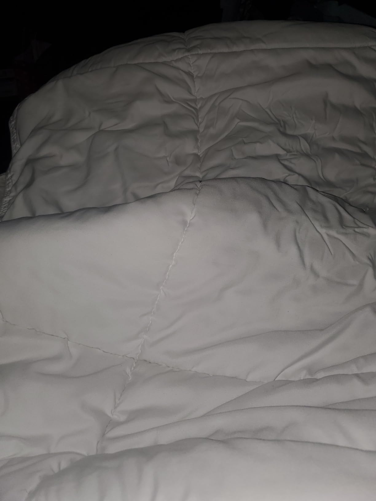 Bare Home Duvet Insert Comforter - Queen Size - Goose Down Alternative - Ultra-Soft - Premium 1800 Series - All Season Warmth - Bedding Comforter (Queen, White) customer photo 1