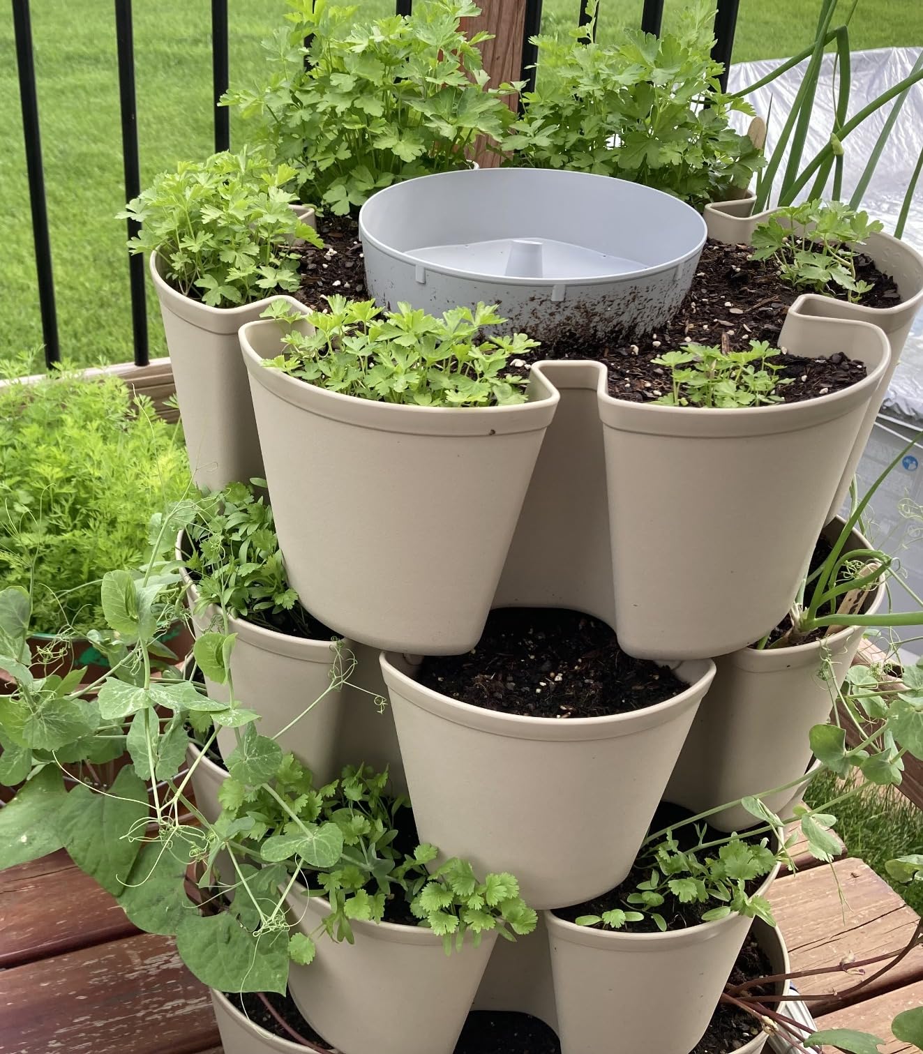 Greenstalk Patented Large 5 Tier Vertical Garden Planter with Patented Internal Watering System customer photo 1
