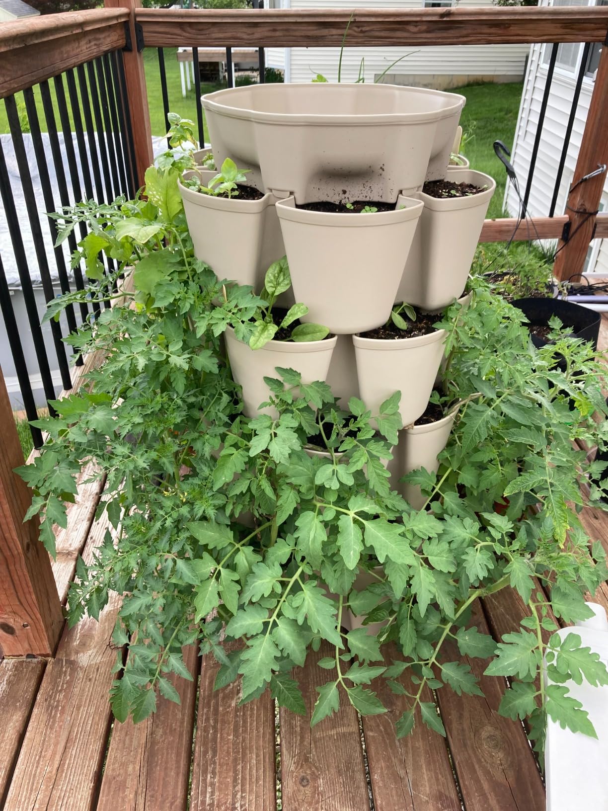 Greenstalk Patented Large 5 Tier Vertical Garden Planter with Patented Internal Watering System customer photo 2