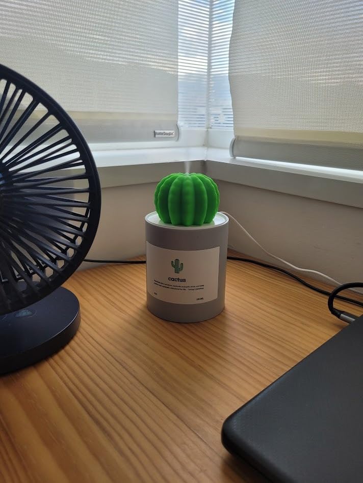 Mini Humidifier, 280ml USB Cool Mist Portable Cactus Air humidifier, Ultra-Quiet Operation for Bedroom Home Office Yoga Car Travel customer photo 1