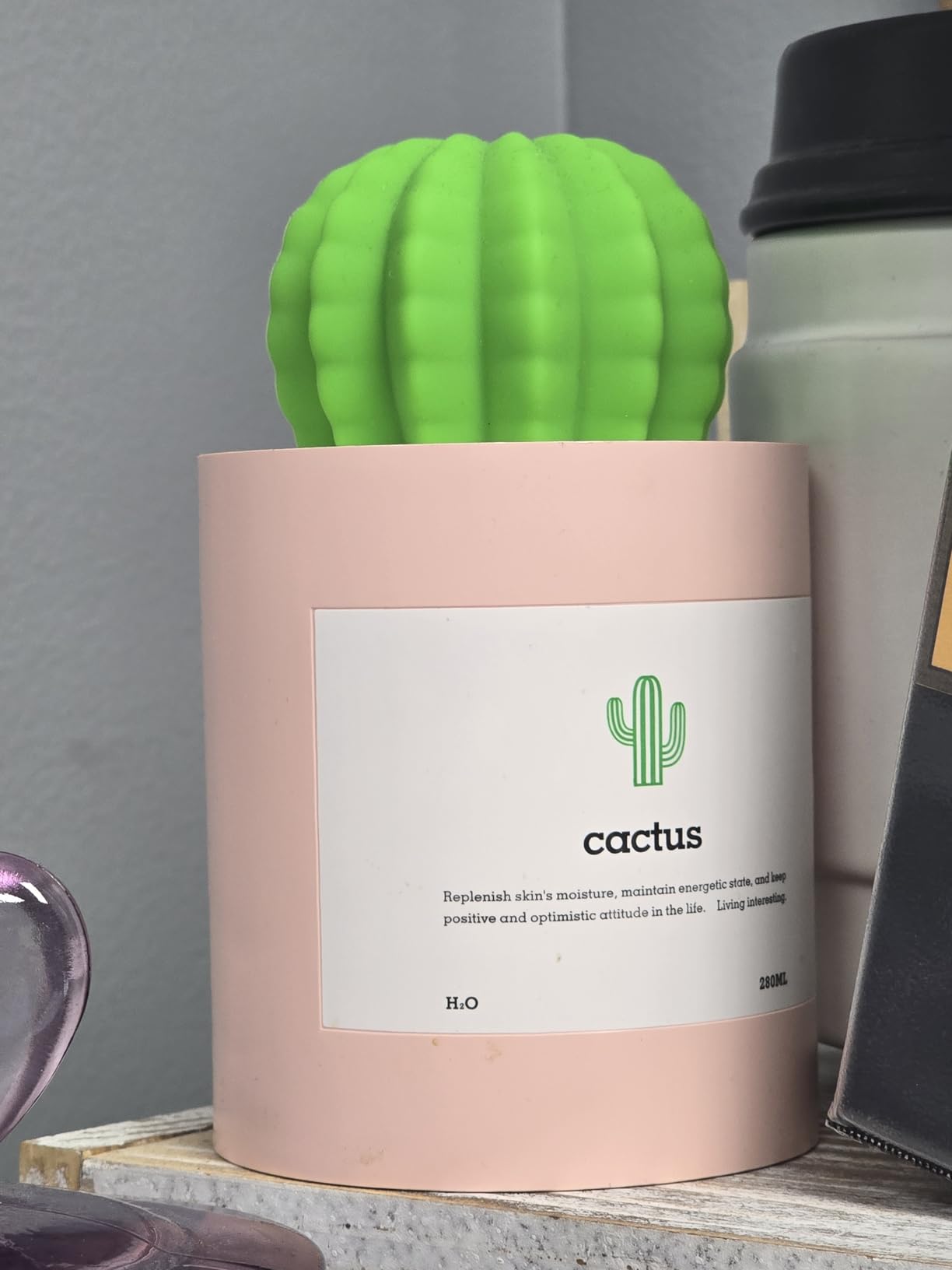 Mini Humidifier, 280ml USB Cool Mist Portable Cactus Air humidifier, Ultra-Quiet Operation for Bedroom Home Office Yoga Car Travel customer photo 2
