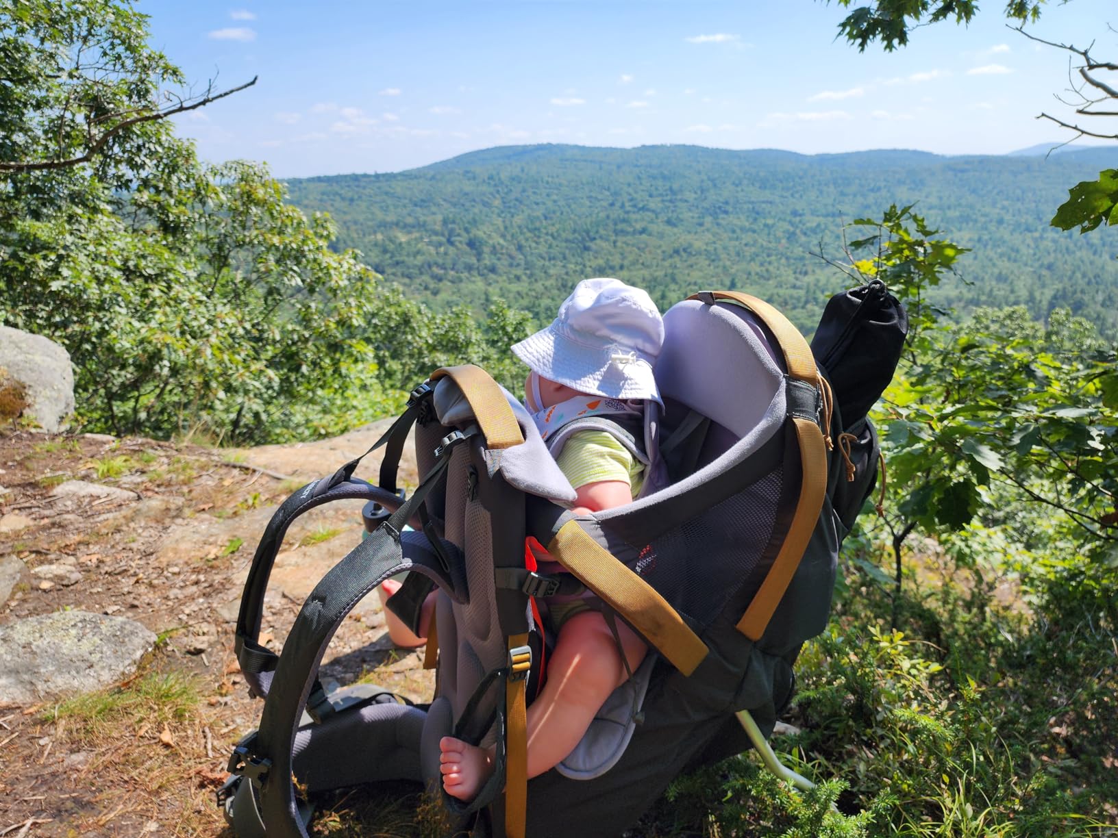 Kelty Journey PerfectFIT ELITE Child Carrier for Infants and Toddlers, Zippered Pockets, Waistbelt, Aluminum Frame customer photo 2