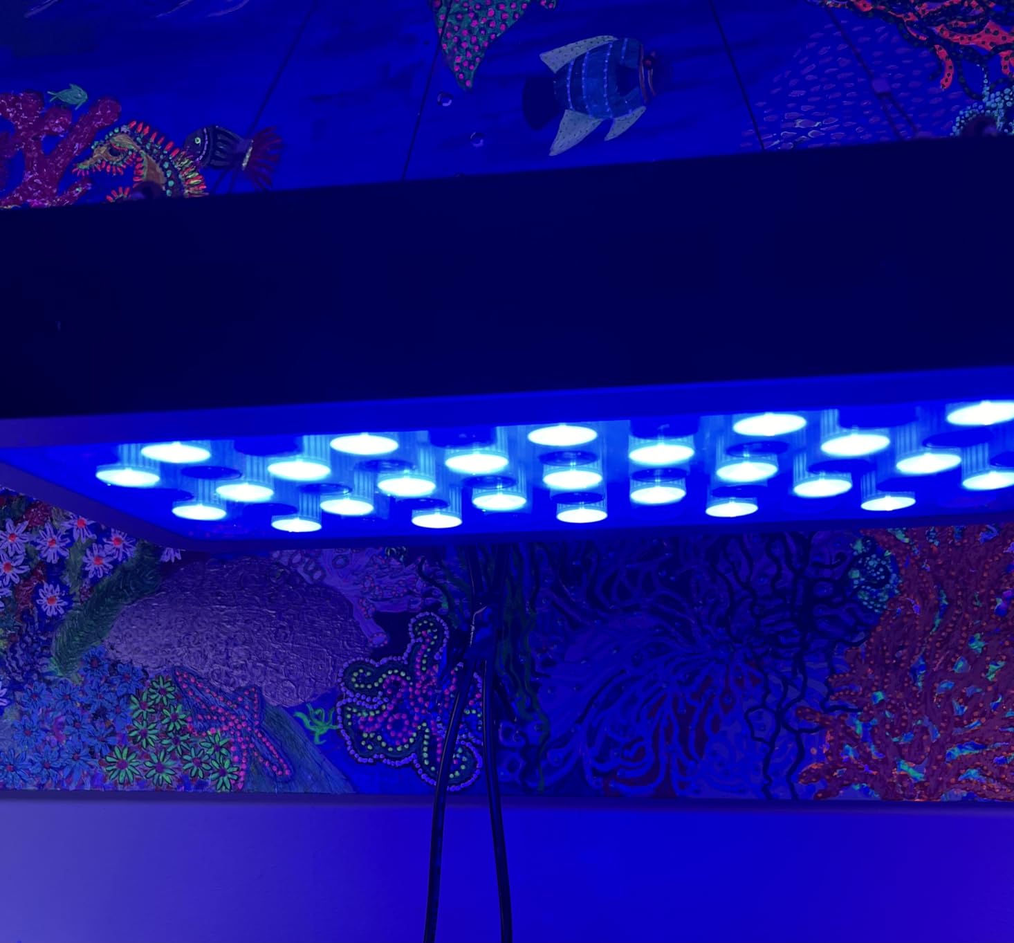 ARKNOAH LED Aquarium Light 165W, Full Spectrum Fish Tank Light Dimmable Brightness for Freshwater and Saltwater Aquariums, Energy-Efficient Coral & Plant Growth customer photo 2