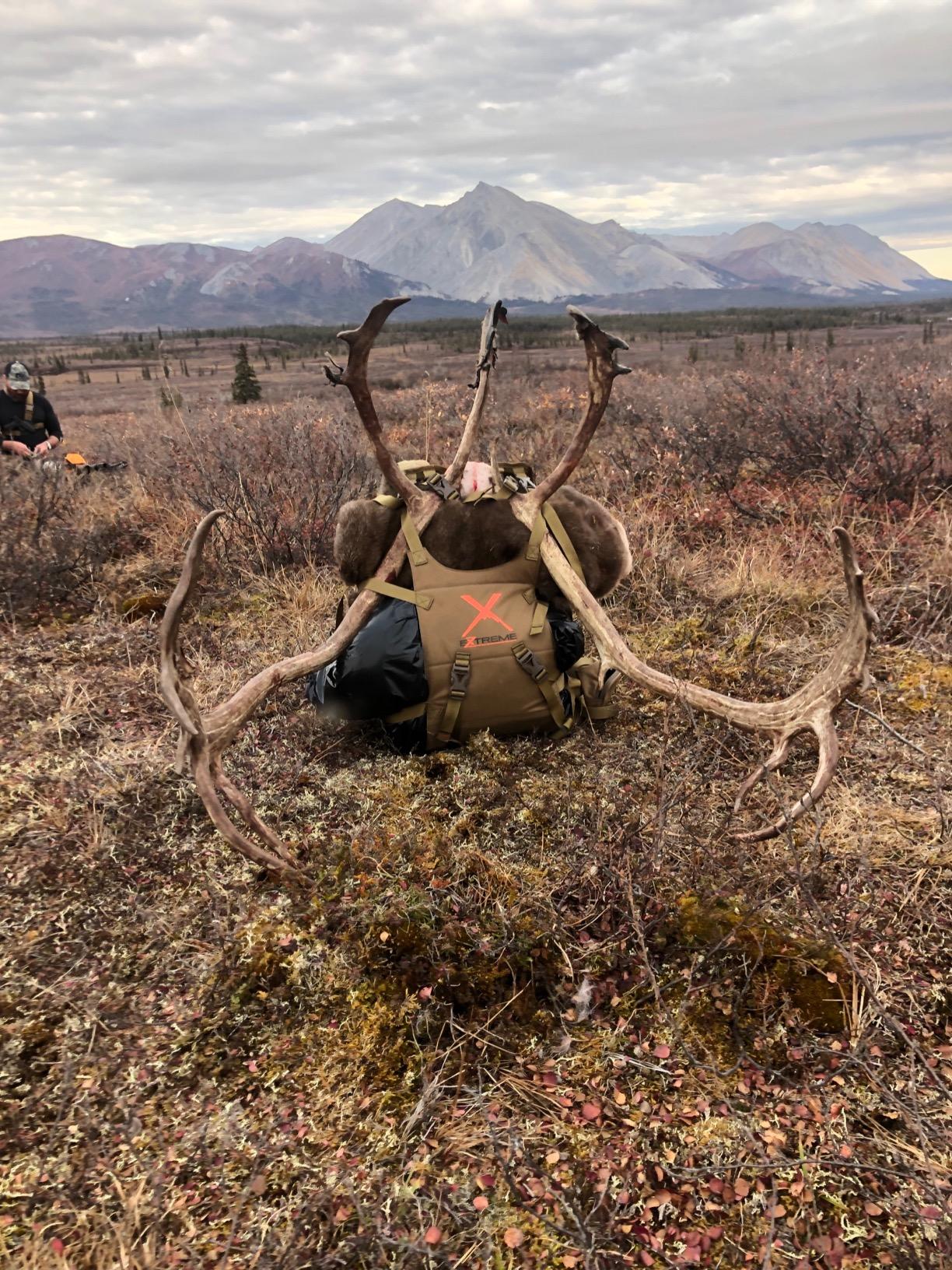ALPS OutdoorZ Extreme Hybrid X Hunting Pack - External Frame customer photo 2