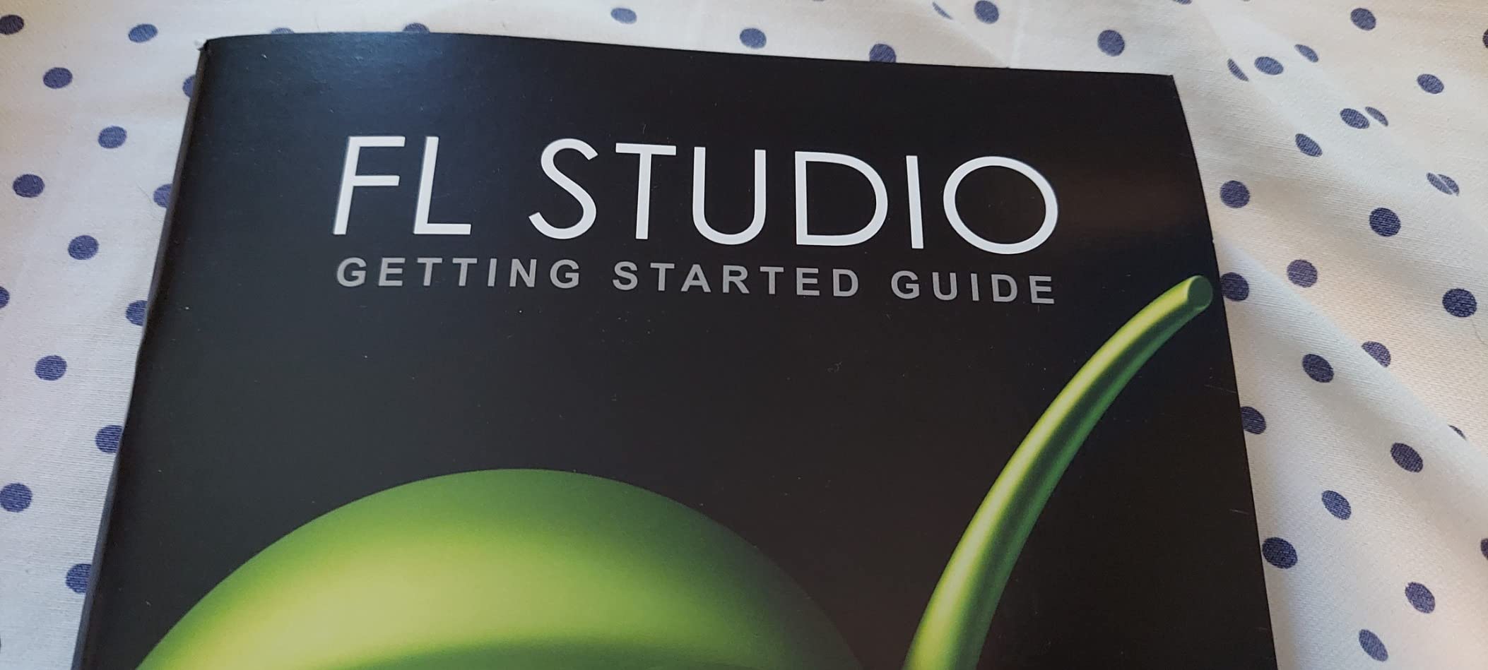 Image Line FL Studio 20 Producer Edition customer photo 2
