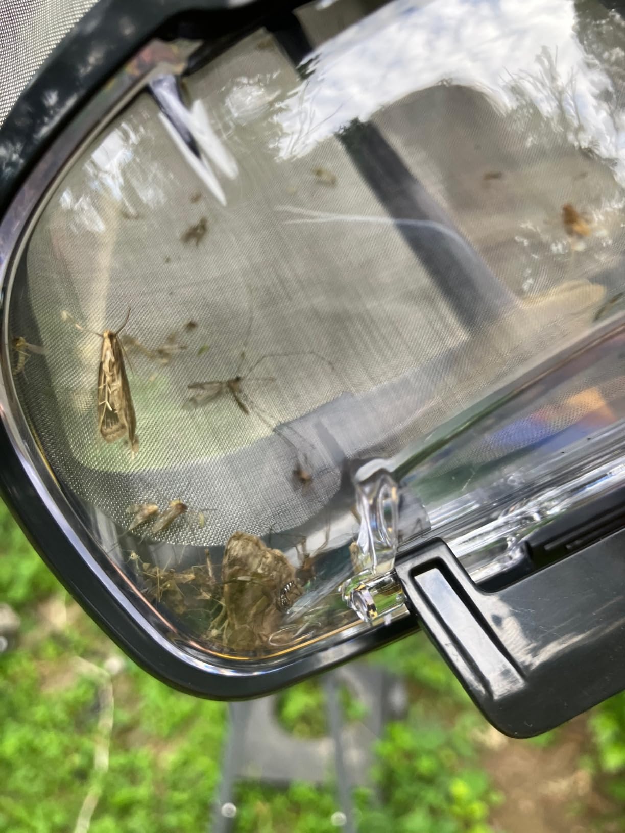 Mosquito Magnet MM4200B Patriot Plus Mosquito and Flying Insect Trap and Killer - Outdoor Fly Trap Protects Up to 1 Acre, Green customer photo 1