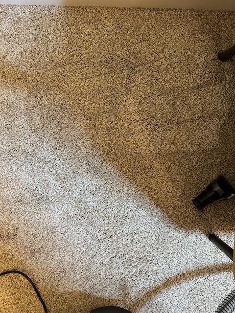 BISSELL SpotClean Pet Pro Portable Carpet Cleaner, 2458 customer photo 1