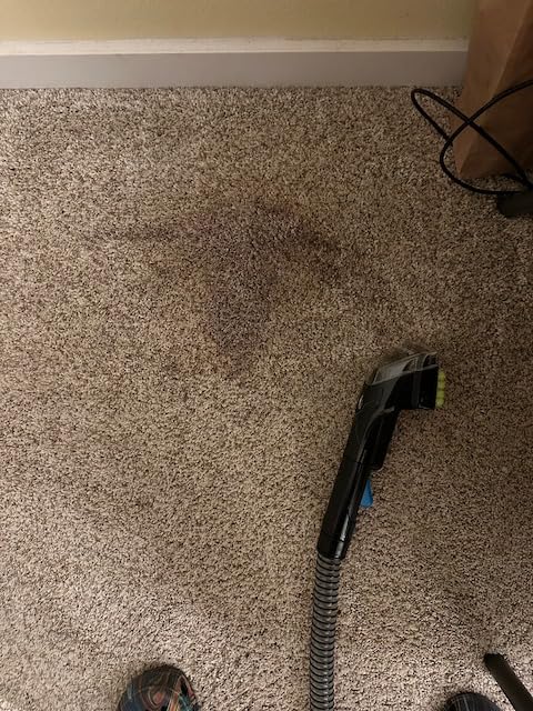 BISSELL SpotClean Pet Pro Portable Carpet Cleaner, 2458 customer photo 2