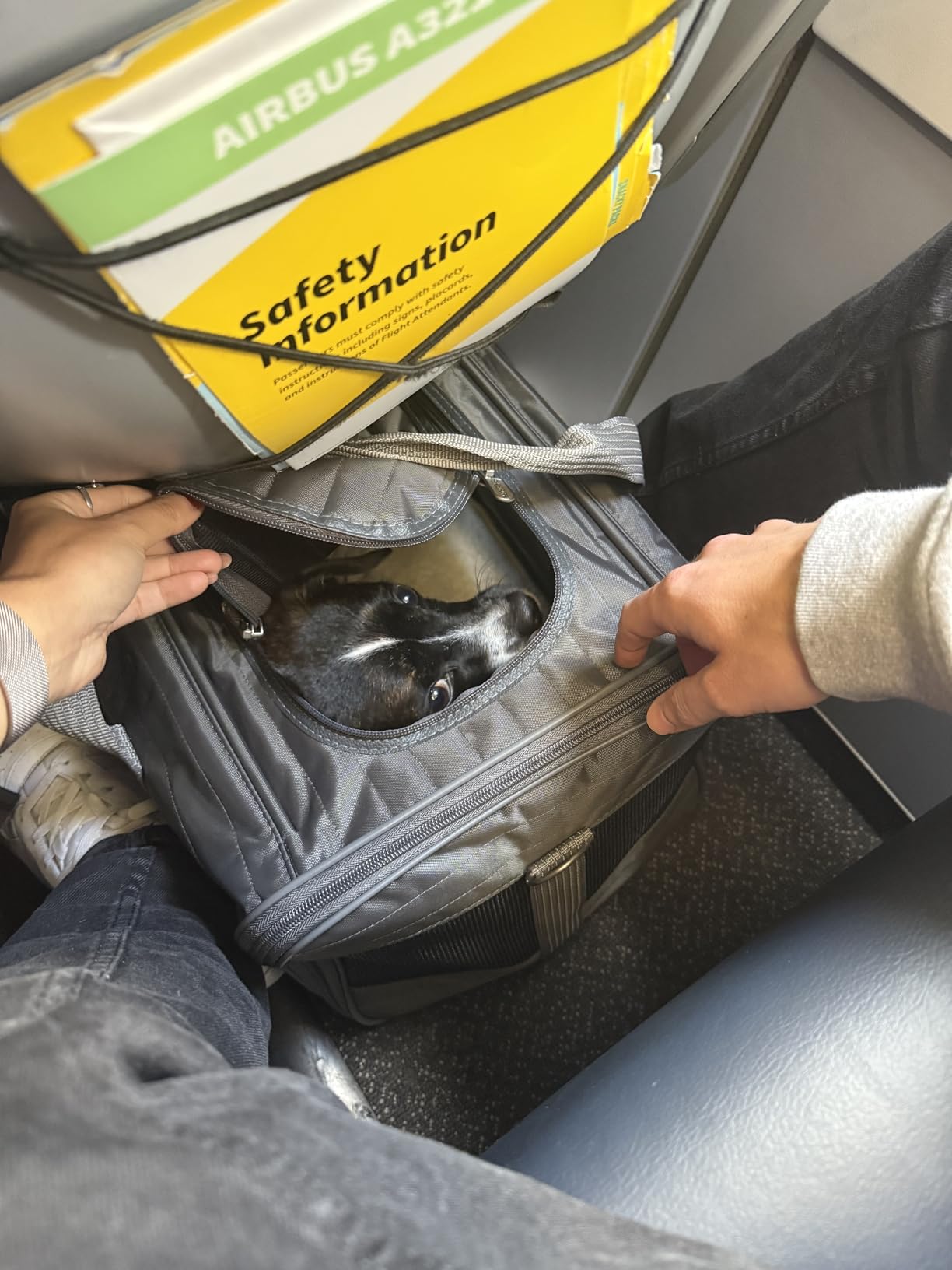 Sherpa Original Deluxe Travel Pet Carrier, Airline Approved & Guaranteed On Board - Charcoal Gray, Small customer photo 1