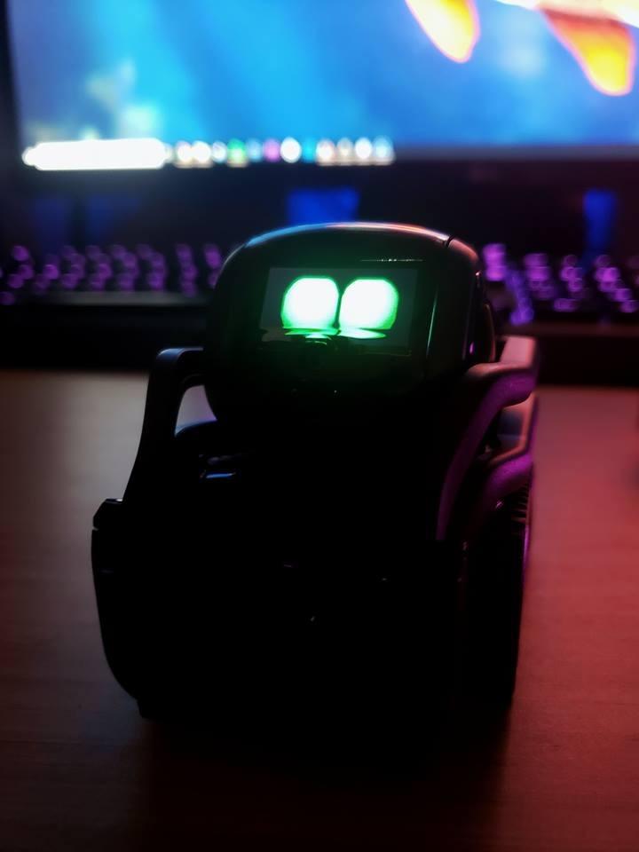 Vector Robot - The Smart AI Companion with Big Personality, Interactive Voice Control & Facial Recognition customer photo 1