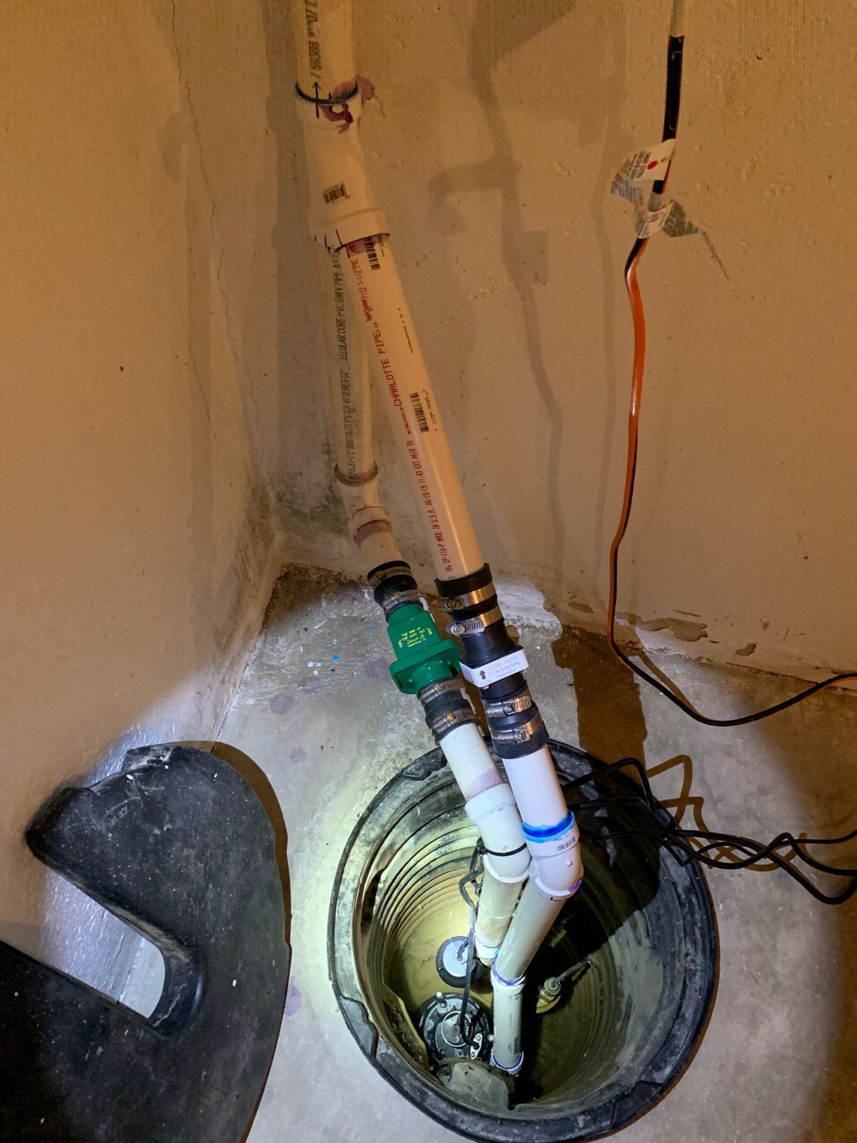 WAYNE ESP25n - 12 Volt Battery Back Up Sump Pump - Up to 2,700 Gallons Per Hour customer photo 1