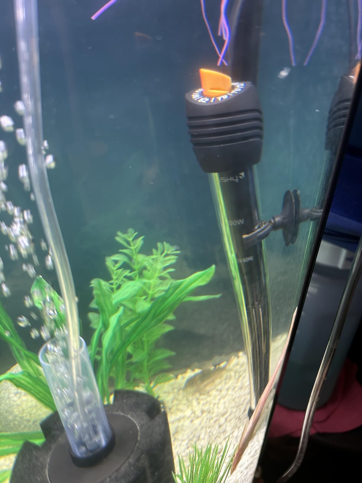 Orlushy Submersible Aquarium Heater,300W Adjustable Fish Tahk Heater with 2 Suction Cups Free Thermometer Suitable for Marine Saltwater and Freshwater customer photo 1
