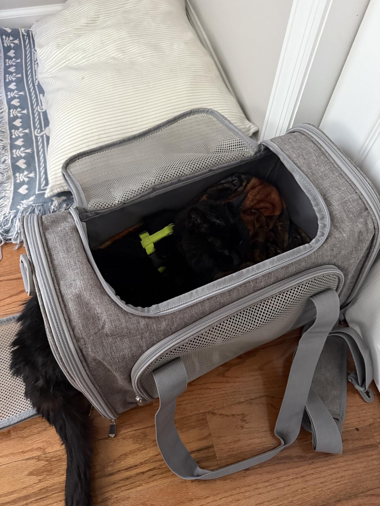 Henkelion Cat Carriers Dog Carrier Pet Carrier For Small / Medium Cats Dogs Puppies (Up To 15lbs), TSA Airline Approved Small Dog Carrier Soft Sided, Collapsible Waterproof Travel Puppy Carrier customer photo 1