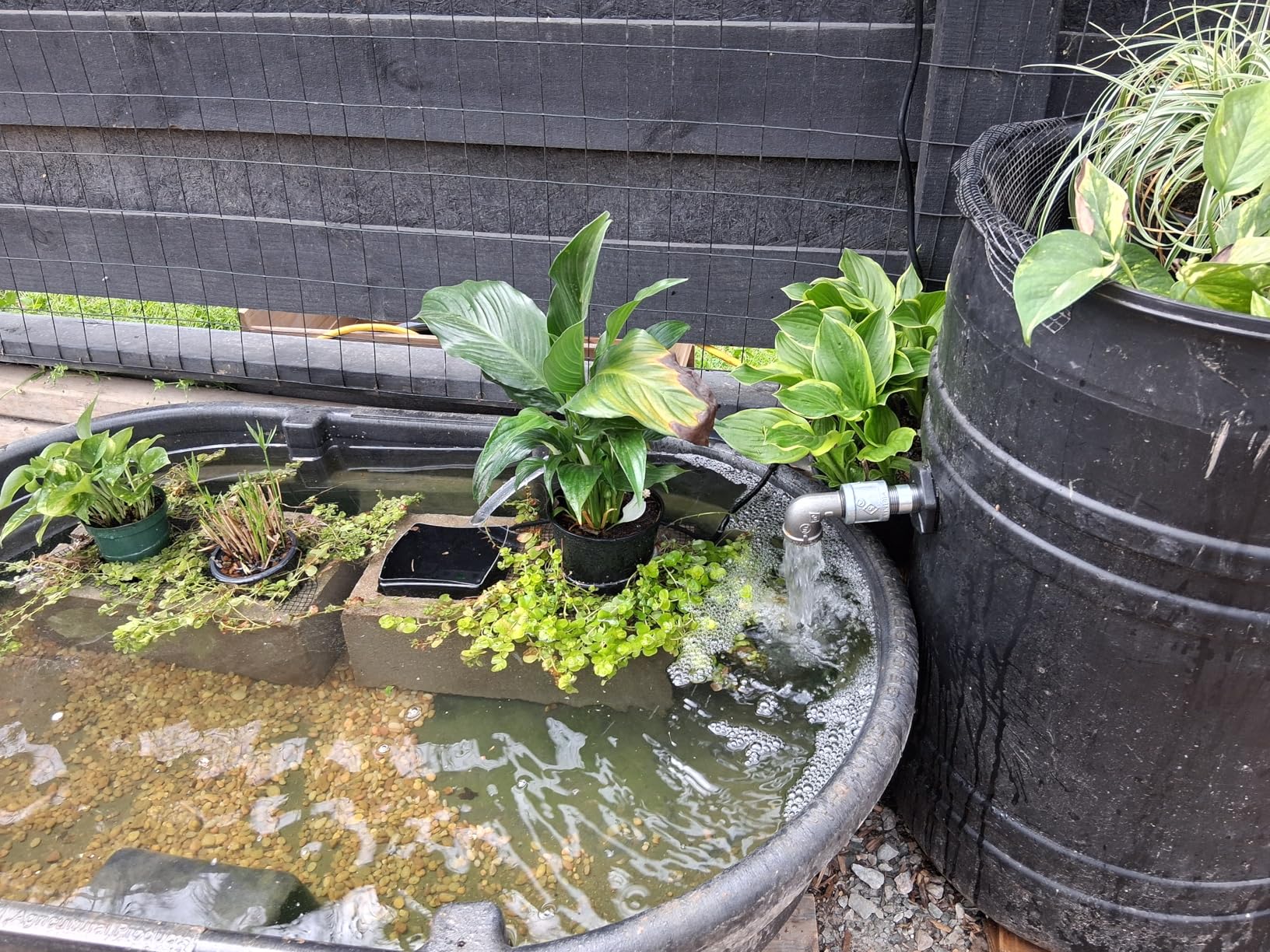 VIVOSUN 800GPH Submersible Pump(3000L/H, 24W), Ultra Quiet Water Fountain Pump with 10ft. High Lift with 6.5ft. Power Cord, 3 Nozzles for Fish Tank, Pond, Aquarium, Statuary, Hydroponics customer photo 1