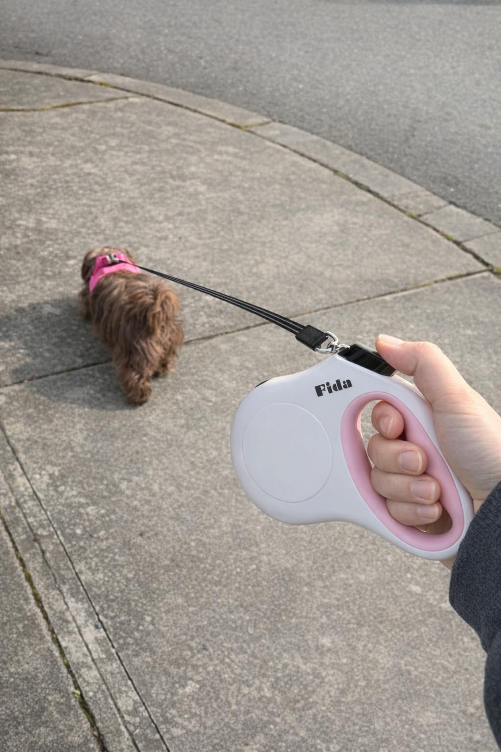 Fida Retractable Dog Leash, 16 ft Dog Walking Leash for Small Dogs up to 26 lbs, 360° Tangle Free, Black customer photo 1