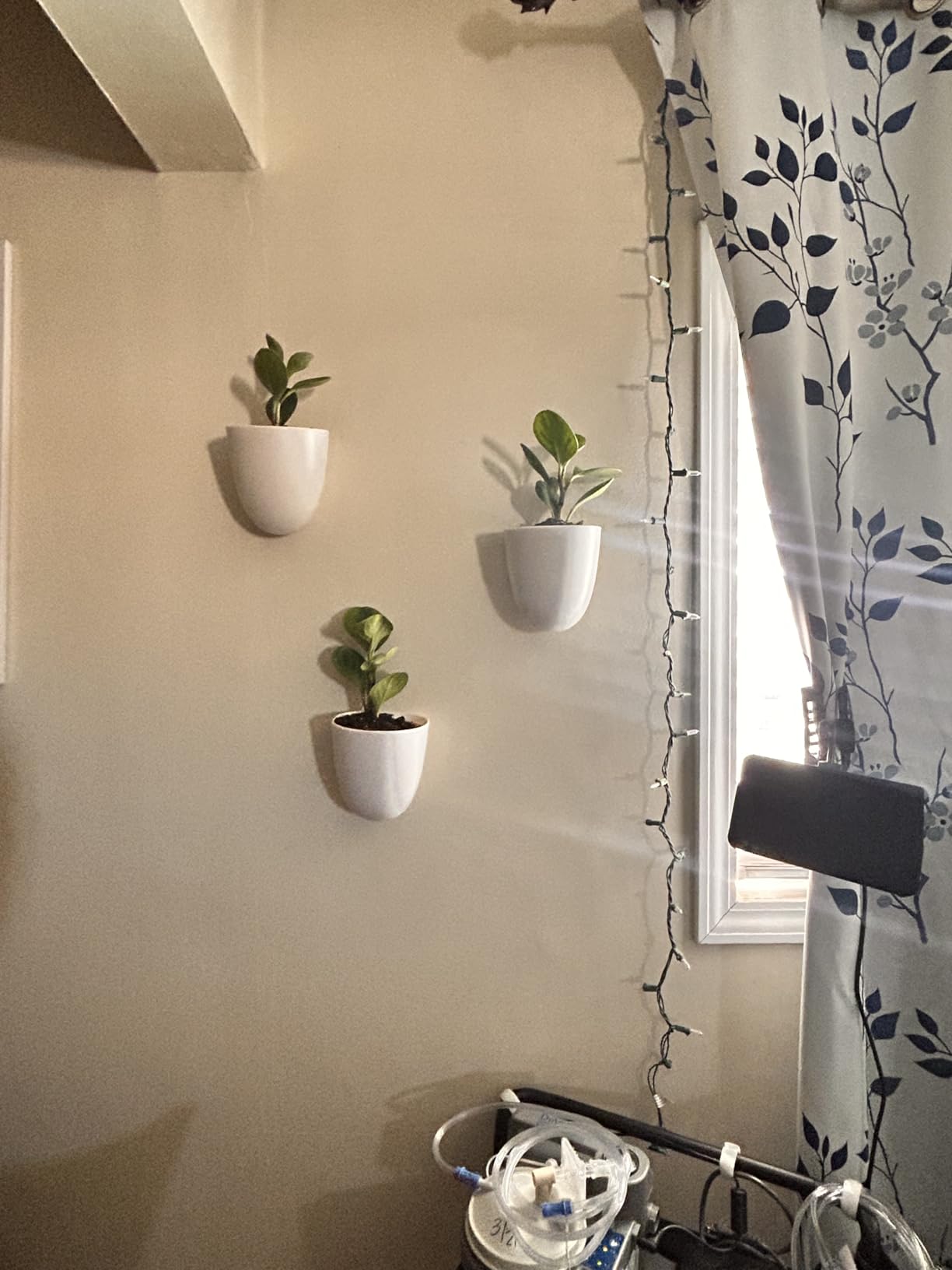 Make Good PlantPod Luxe - Self-Watering Wall Planters (Set of 6) - Easy to Water and Install - Lightweight - Design Your Own Vertical Garden customer photo 1