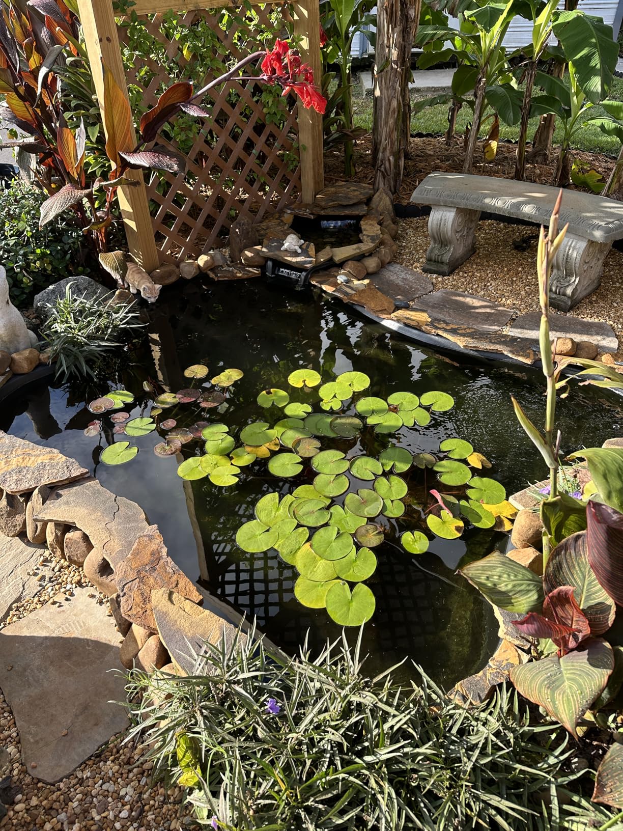 The Pond Guy UltraUV Ultraviolet Pond Water Clarifier, EPA Registered UV Light, Planktonic Algae & Green Water UVC Treatment, Plant, Koi Fish, Duck, Turtle, & Aquatic Life Safe, 13 Watt customer photo 1
