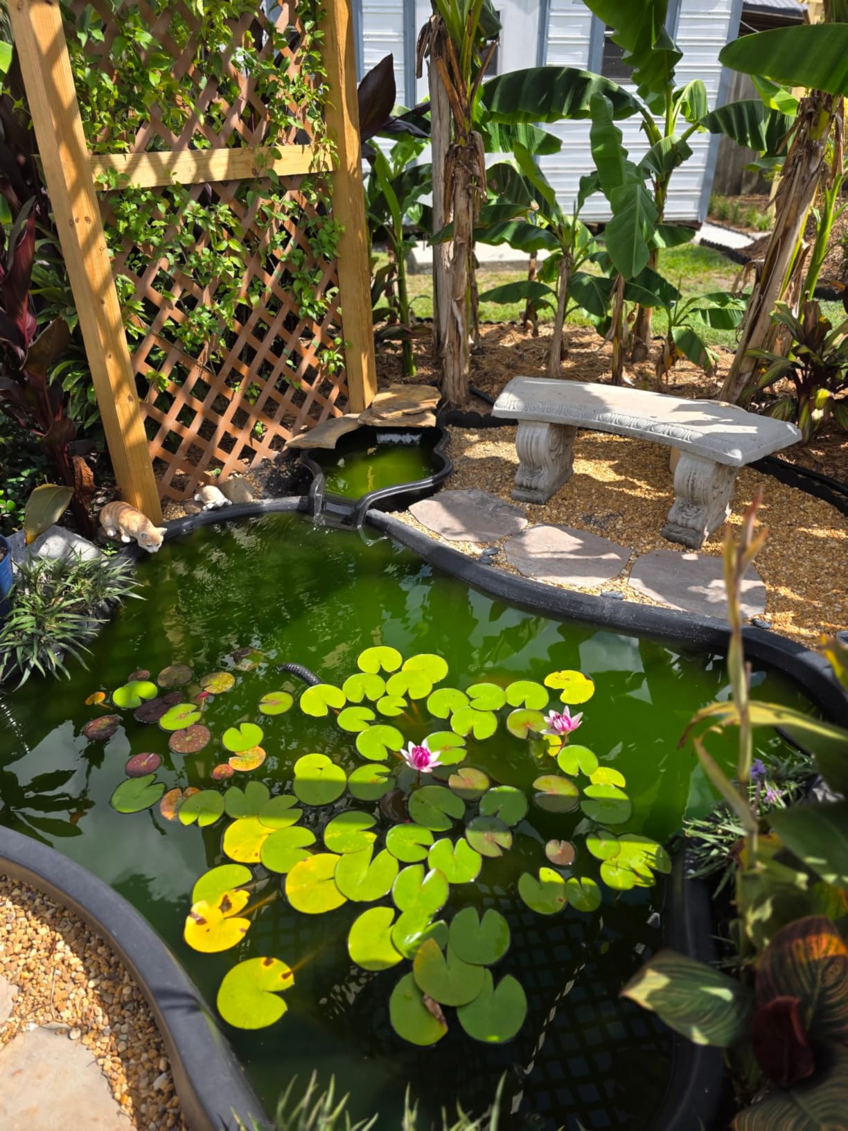 The Pond Guy UltraUV Ultraviolet Pond Water Clarifier, EPA Registered UV Light, Planktonic Algae & Green Water UVC Treatment, Plant, Koi Fish, Duck, Turtle, & Aquatic Life Safe, 13 Watt customer photo 2