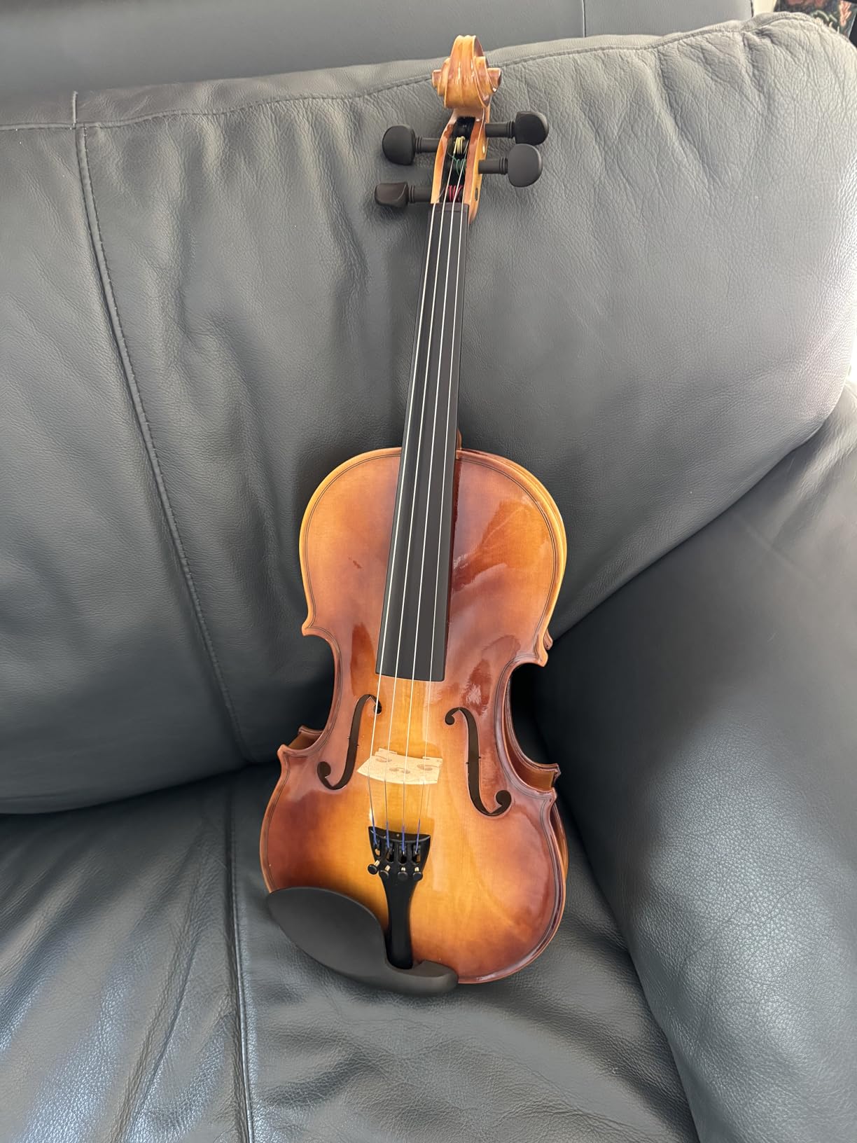 Eastar Violin 4/4 Full Size for Adults, Violin Set for Beginners with Hard Case, Rosin, Shoulder Rest, Bow, and Extra Strings (Imprinted Finger Guide on Fingerboard), EVA-2 customer photo 1