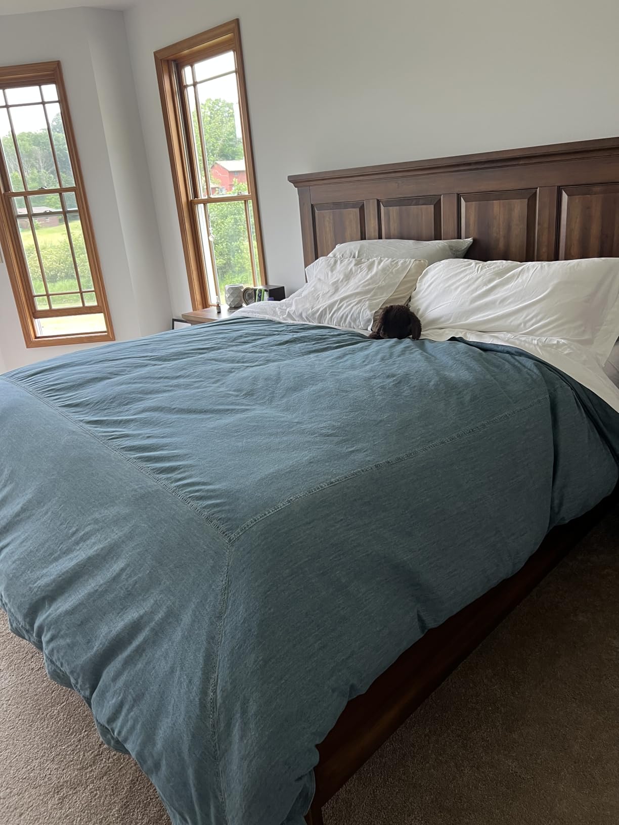 APSMILE Heavyweight Down Feather Fibers Comforter King Size - Ultra-Soft Luxury High Fill-Power Hotel-Style Thicker Winter Duvet Insert for Colder Weather/Sleeper (106x90, White) customer photo 1
