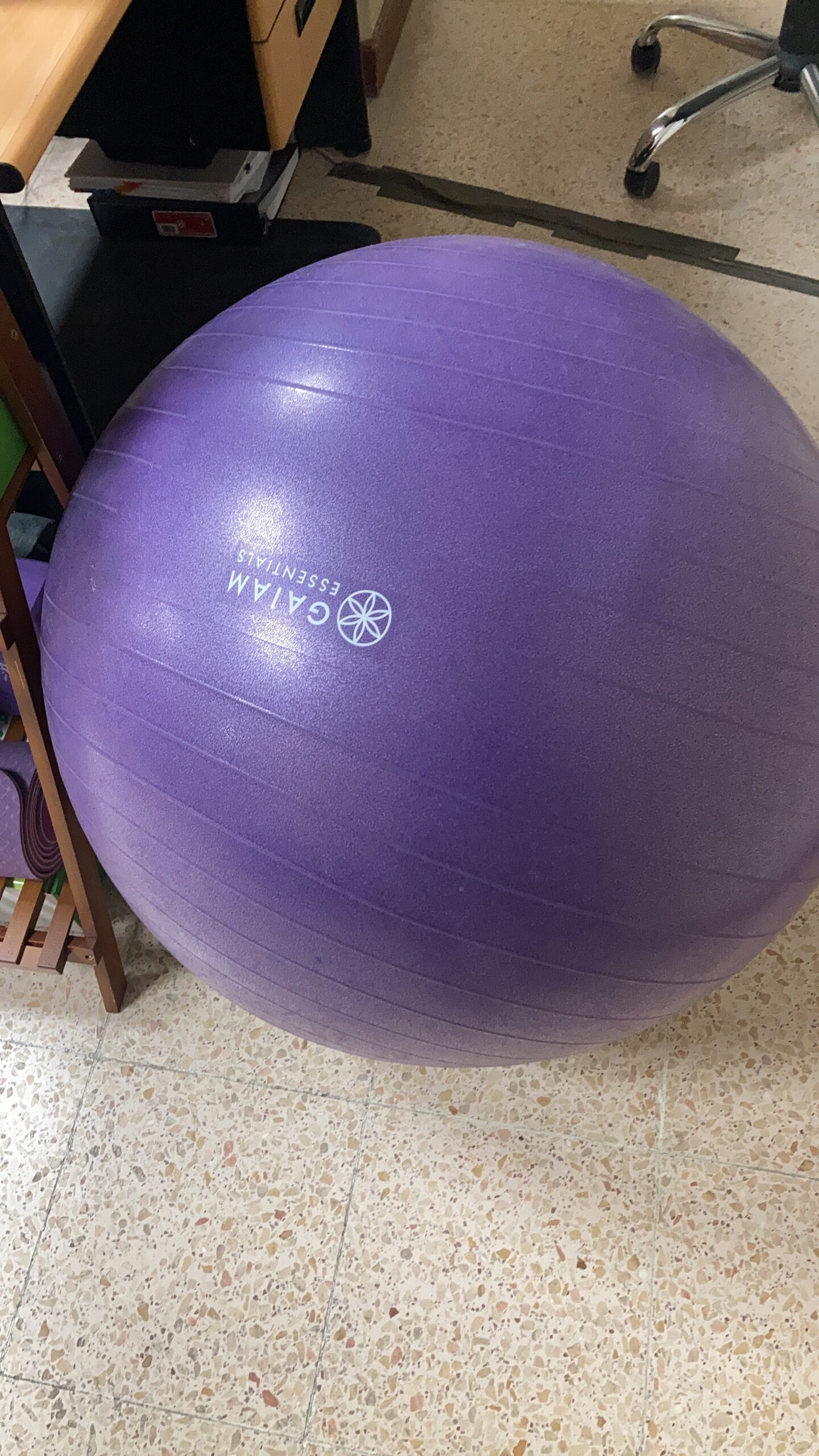 Gaiam Essentials Balance Ball & Base Kit, 65cm Yoga Ball Chair, Exercise Ball with Inflatable Ring Base for Home or Office Desk, Includes Air Pump customer photo 1
