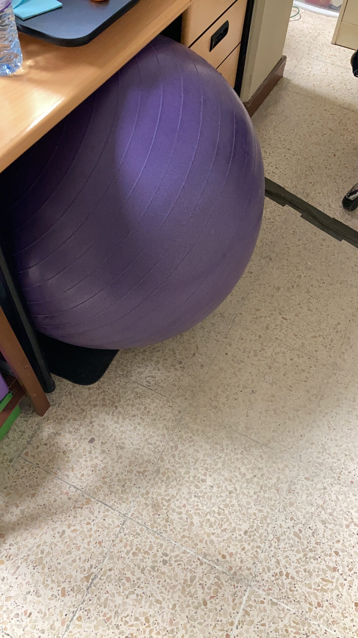 Gaiam Essentials Balance Ball & Base Kit, 65cm Yoga Ball Chair, Exercise Ball with Inflatable Ring Base for Home or Office Desk, Includes Air Pump customer photo 2