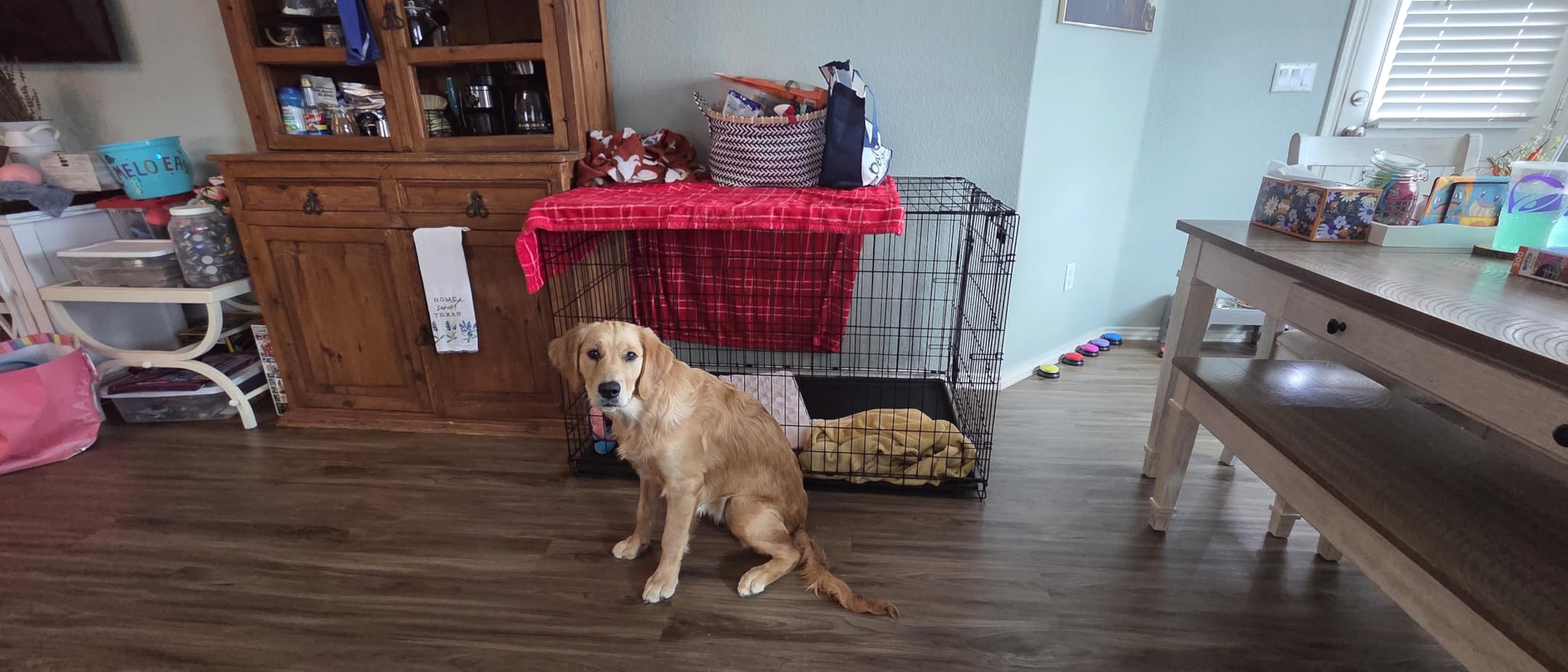 MidWest Homes for Pets Ginormous Single Door 54-Inch Dog Crate for XXL Dogs Breeds; Great Dane, Mastiff, St. Bernard, Drop Pin Assembly Requires Two People; Divider Panel Not Included customer photo 2