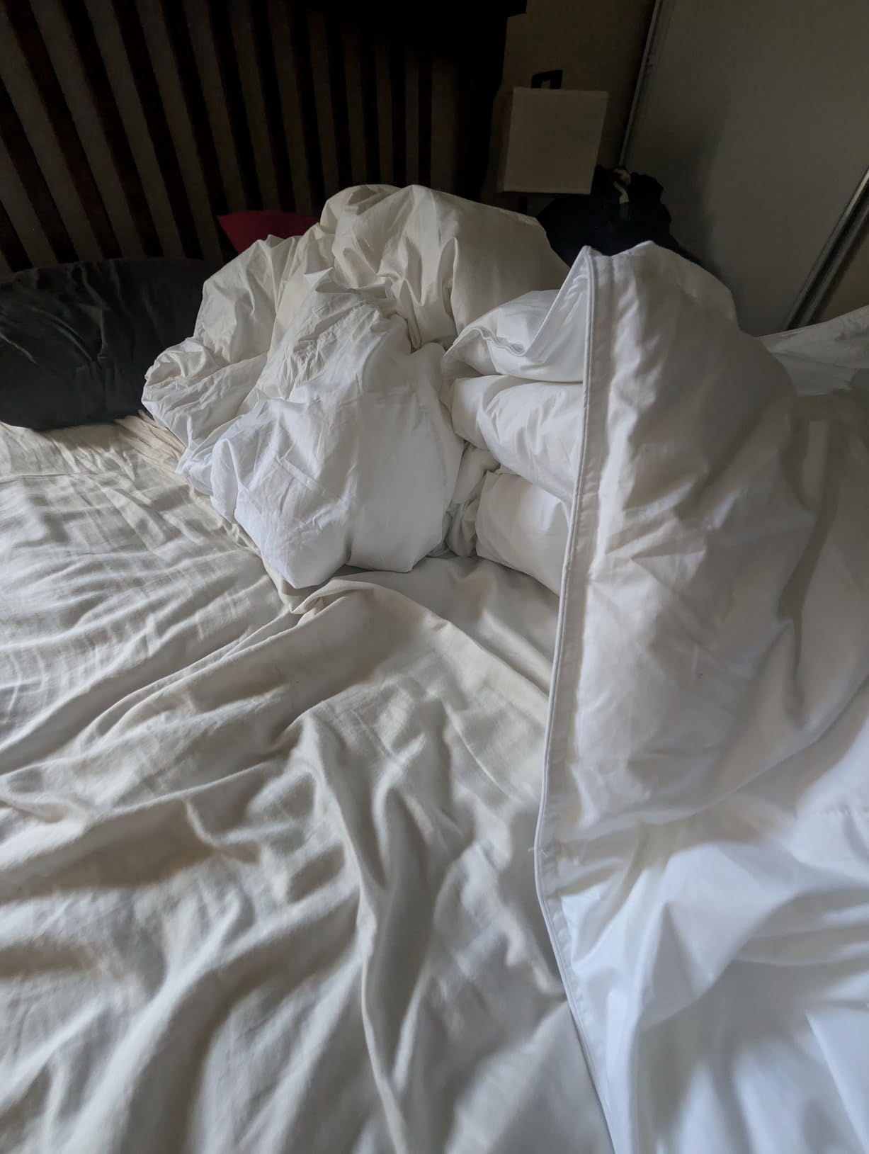 Serta Goose Feather Down Fiber Cotton Comforter King Size - 100% Cotton Duvet Insert - Hotel Luxury Hypoallergenic Bedding Comforter All Season Medium Warmth 106 x 90 Inch White customer photo 1