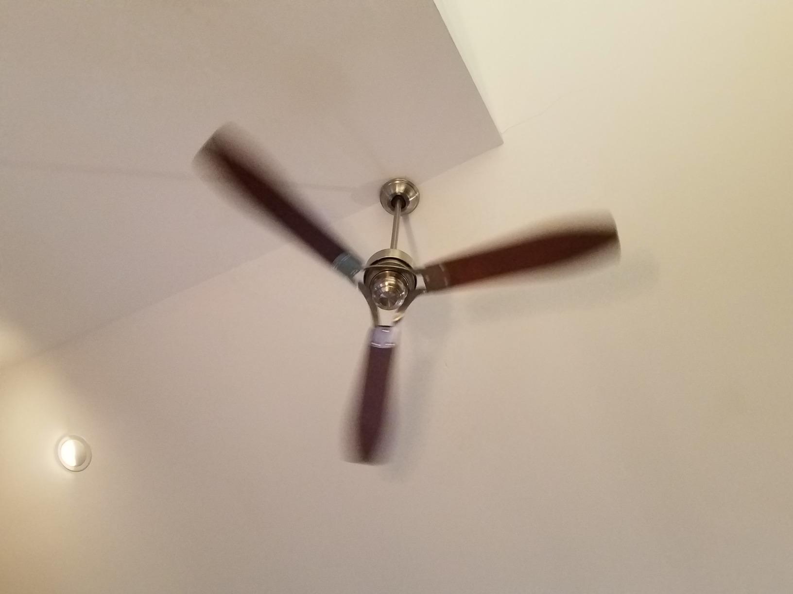 Hunter 52 inch Outdoor or Indoor Ceiling Fan No Light - Black Ceiling Fan without Light, For Patio, Porch, Garage, or Living Room, Standard Mount, 3 Blades, Wall Control - Trimaran customer photo 1
