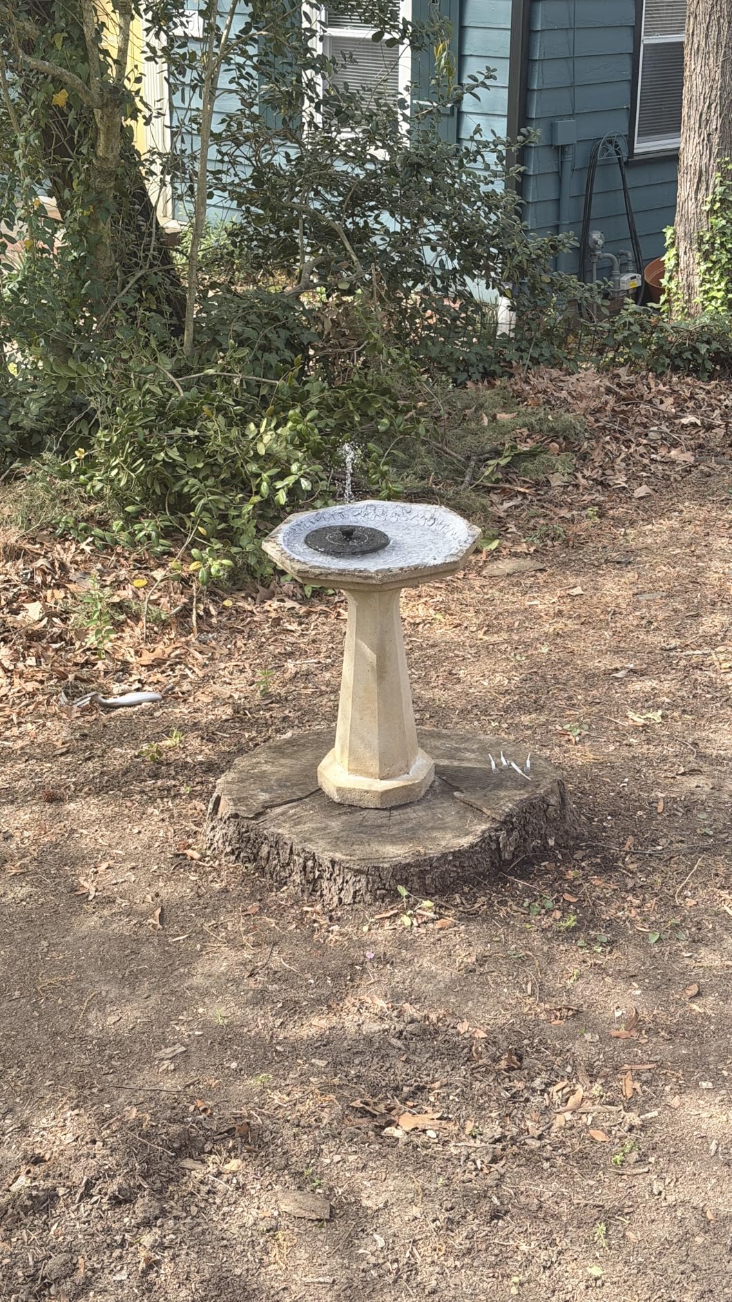 Mademax Solar Bird Bath Fountains, Upgrade 1.4W Solar Fountain Pump with 6 Nozzles, Free Standing Floating Solar Powered Water Fountain Pump for Bird Bath, Garden, Pond, Pool, Outdoor customer photo 1
