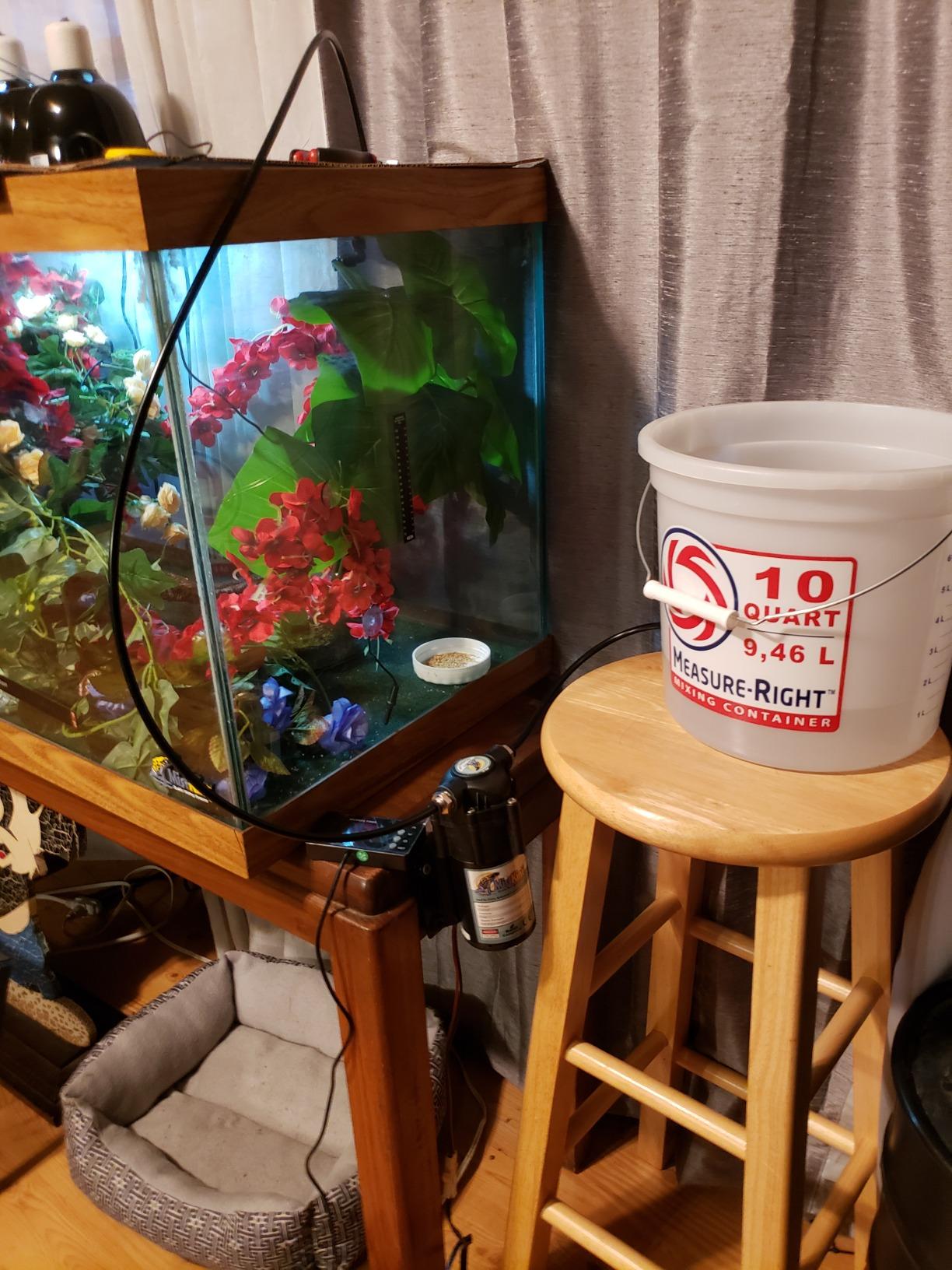 MistKing Starter Misting System 5th Gen | Expandable to 10 Nozzles | 50 Micron Droplets | Used by Zoos & Botanical Gardens customer photo 1