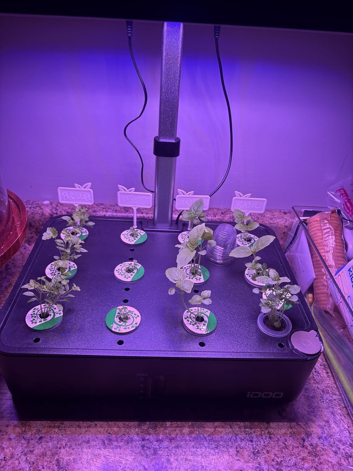 iDOO Hydroponics Growing System Kit 12Pods, Indoor Herb Garden, with LED Grow Light, Built-in Fan, Auto-Timer, Adjustable Height Up to 11.3