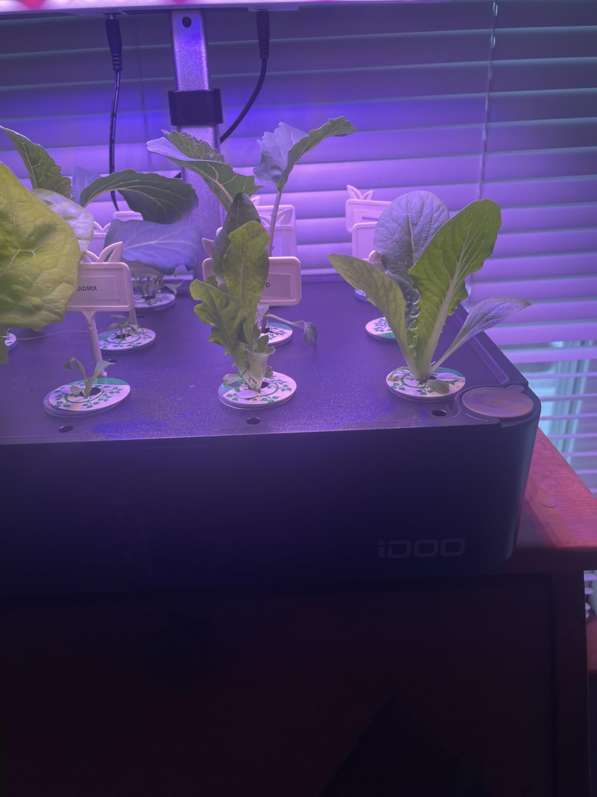 iDOO Hydroponics Growing System Kit 12Pods, Indoor Herb Garden, with LED Grow Light, Built-in Fan, Auto-Timer, Adjustable Height Up to 11.3