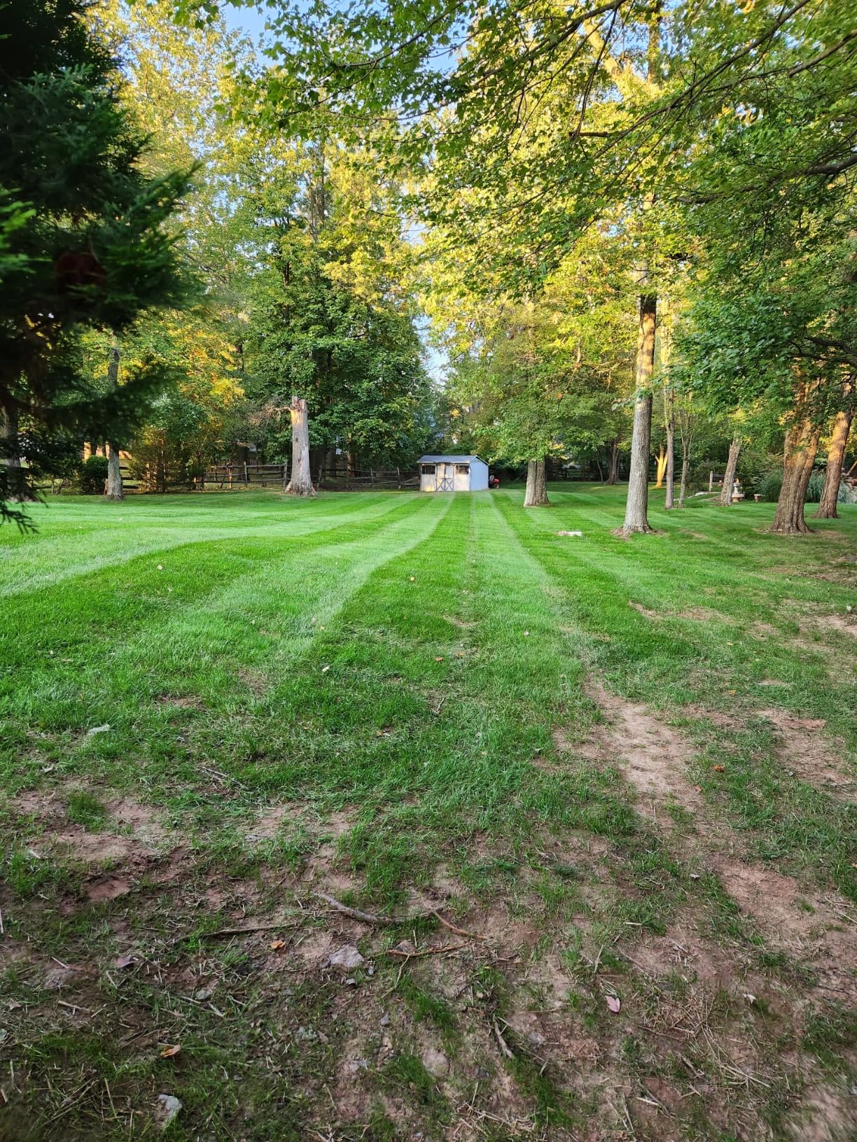 Grasshopper Mower Grass Grooming Striping Kit, for V Series-48, Attaches to Rear of Deck to Comb Grass and Enhance The Stripe Effect of The Final Appearance, OEM 504665 customer photo 1