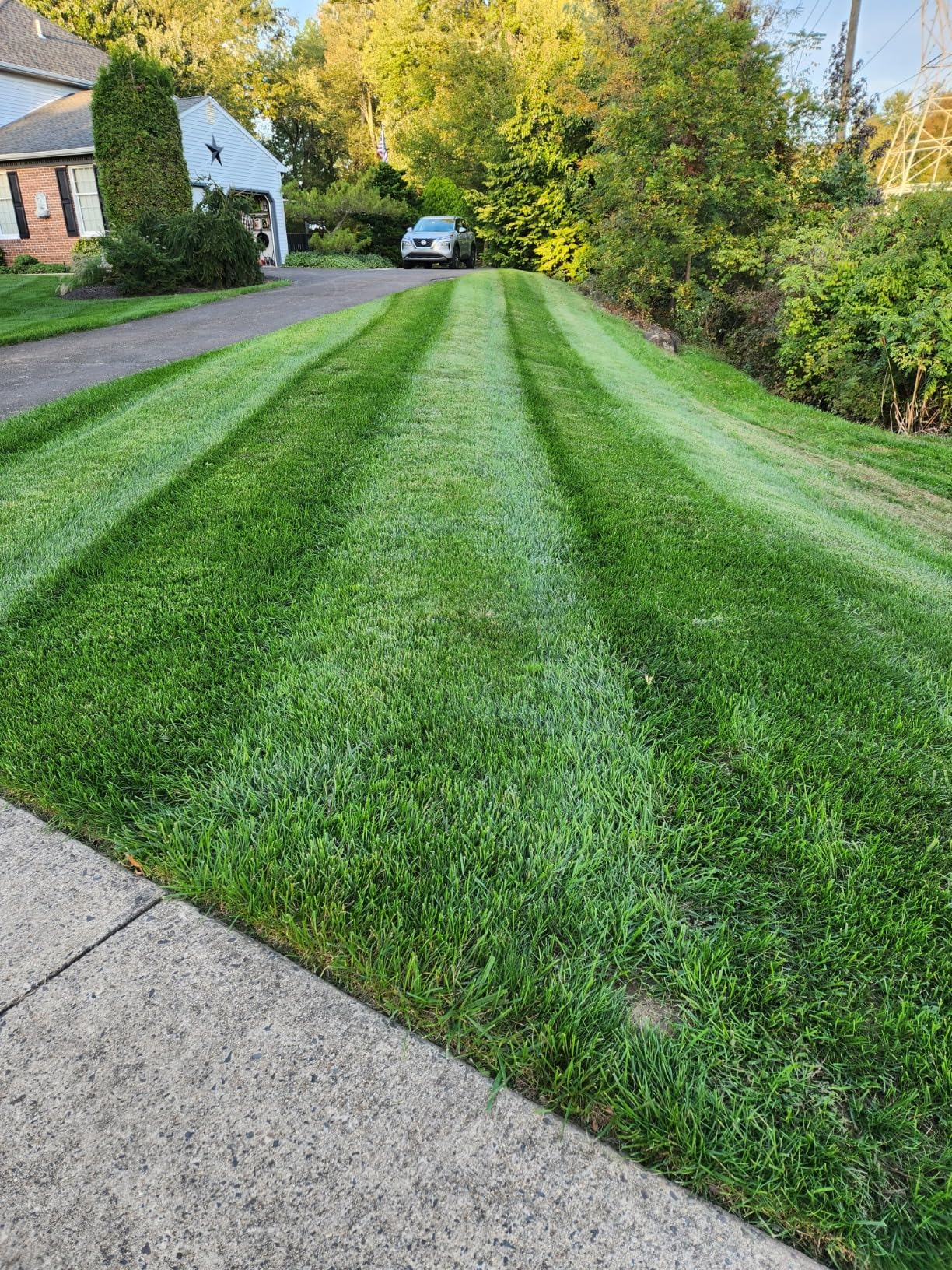 Grasshopper Mower Grass Grooming Striping Kit, for V Series-48, Attaches to Rear of Deck to Comb Grass and Enhance The Stripe Effect of The Final Appearance, OEM 504665 customer photo 2