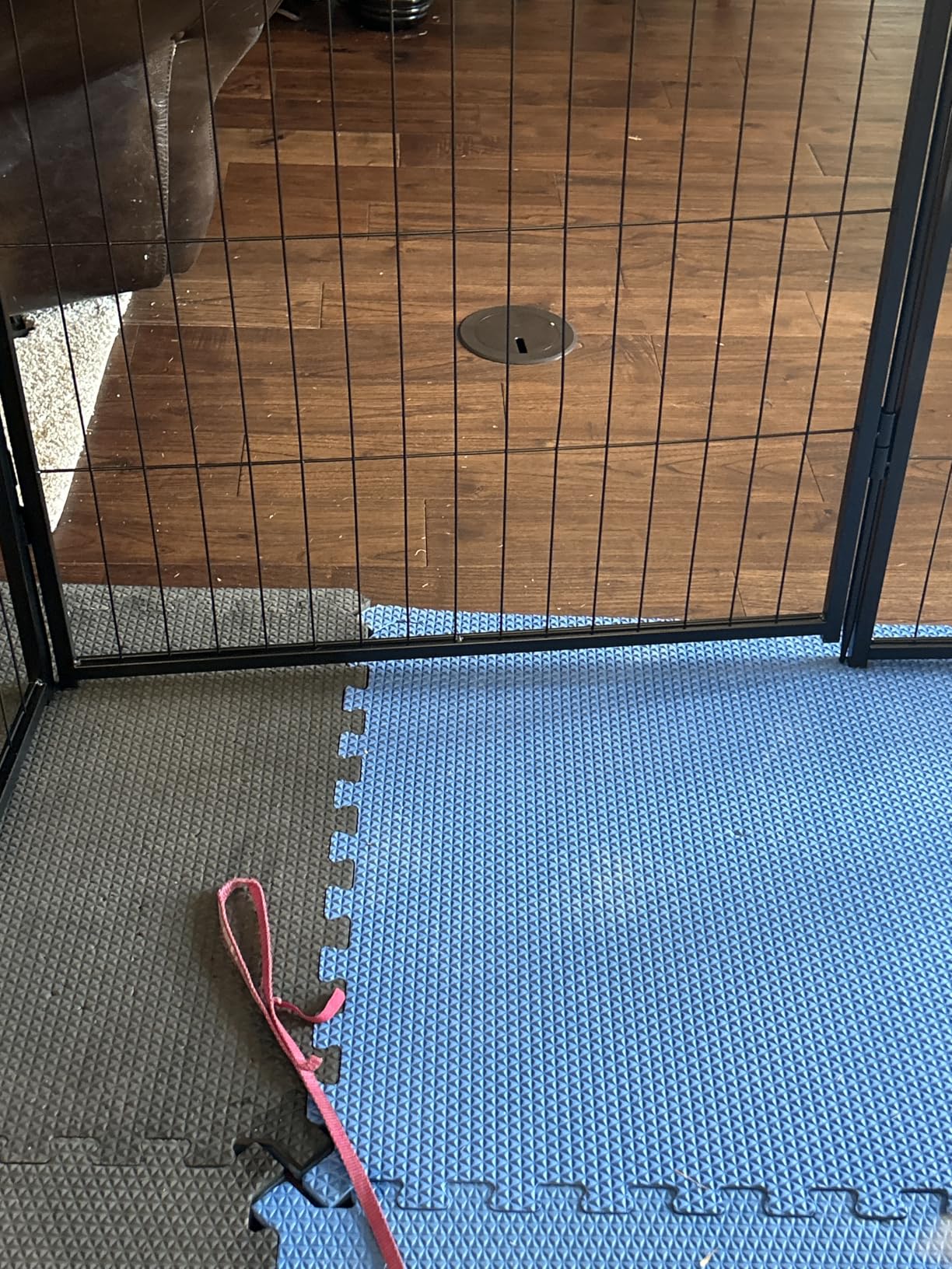FXW Rollick Unleashed Dog Playpen for Indoor, Yard, RV Camping, 32 inch 8 Panels for Small and Medium Dogs customer photo 1