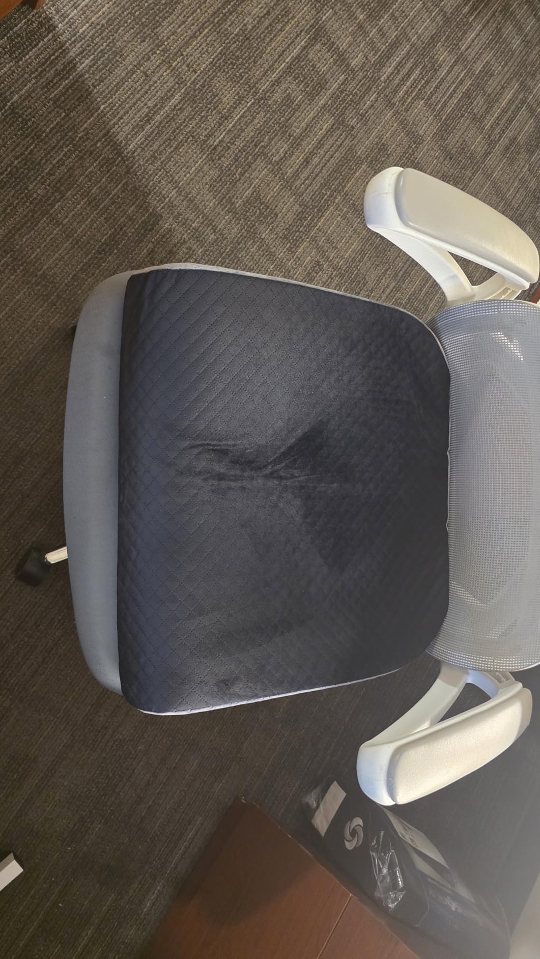 Kolbs Extra Large Seat Cushion, Stylish Plush Velvet Cover, X-Large Memory Foam for Office Chair, Floor Pillow, Cushion Back Pain Coccyx Pain Relief, Carry Handle (Extra Large) customer photo 2