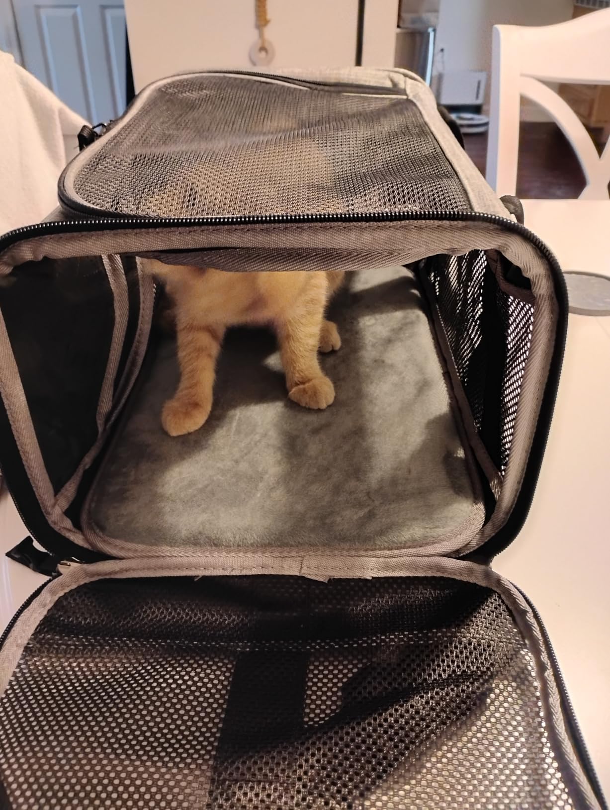 Wakytu TSA Approved Pet Carrier for Small Cats Dogs, Travel Bag with Adequate Ventilation, 5 Mesh Windows, 3 Entrance, Locking Safety Zippers, Padded Shoulder and Carrying Strap, Small customer photo 1