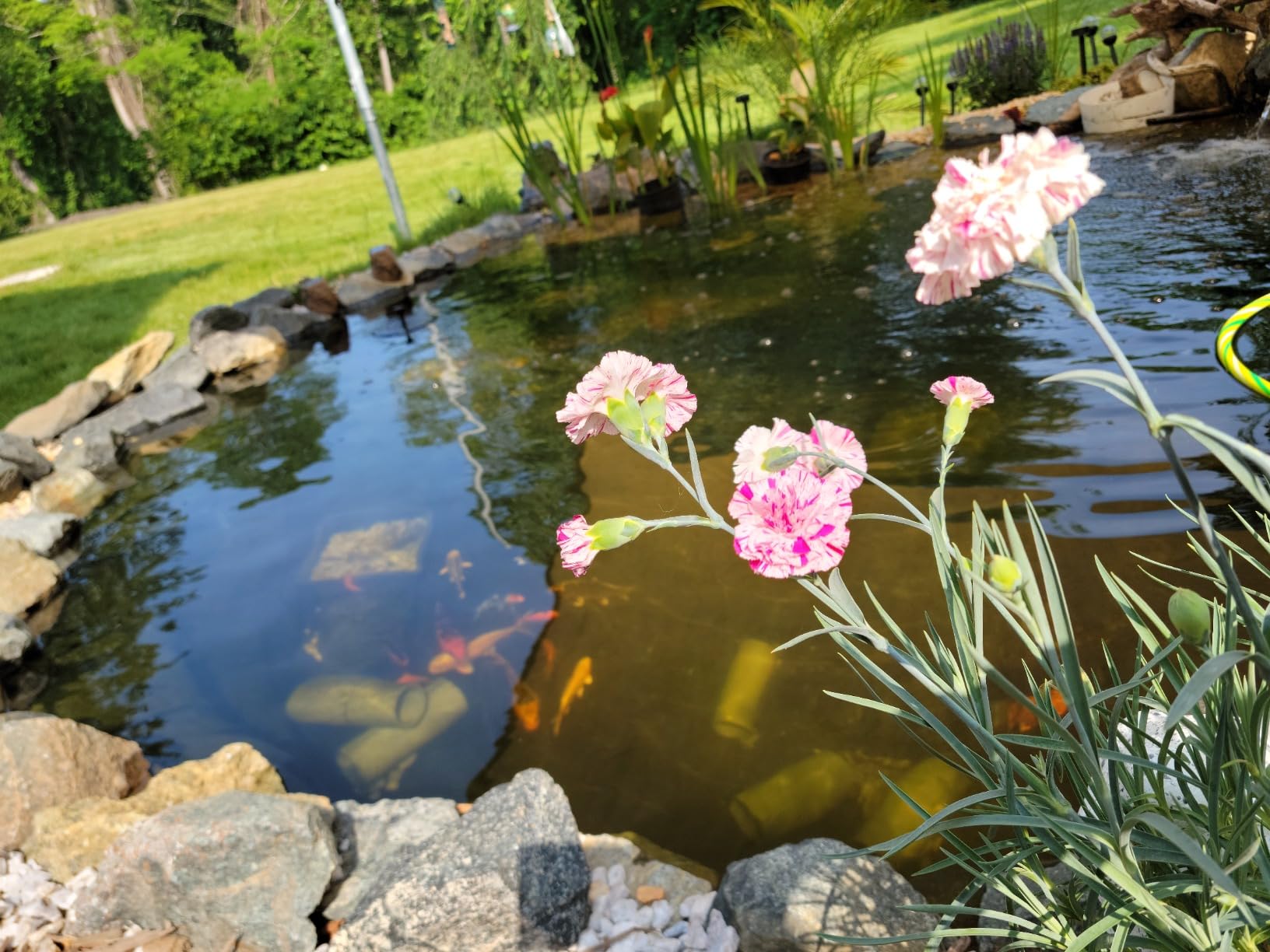 Jebao CW-55 Pond and Aquarium Clarifier, 55-watt customer photo 2