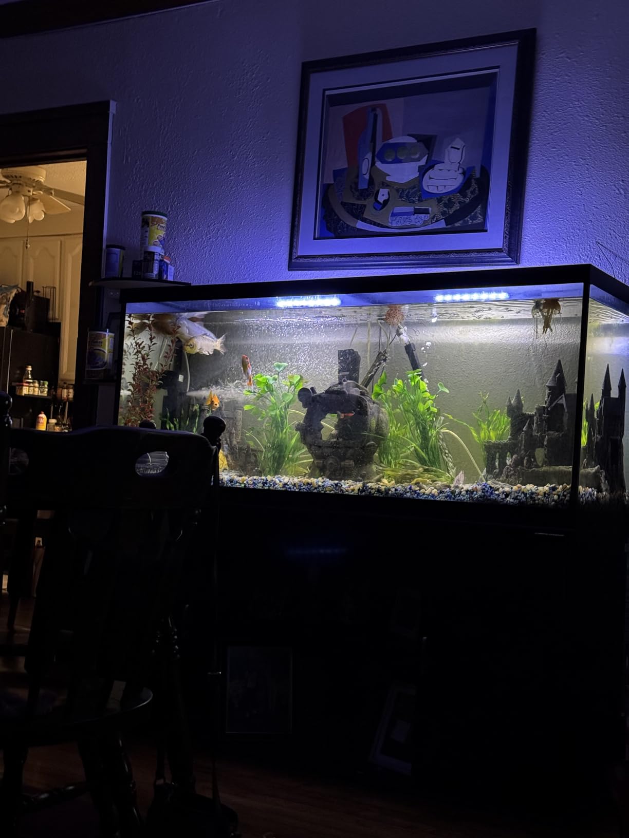 10 Best Aquarium Filters for 75 Gallon Tanks (April 2026) Expert Reviews