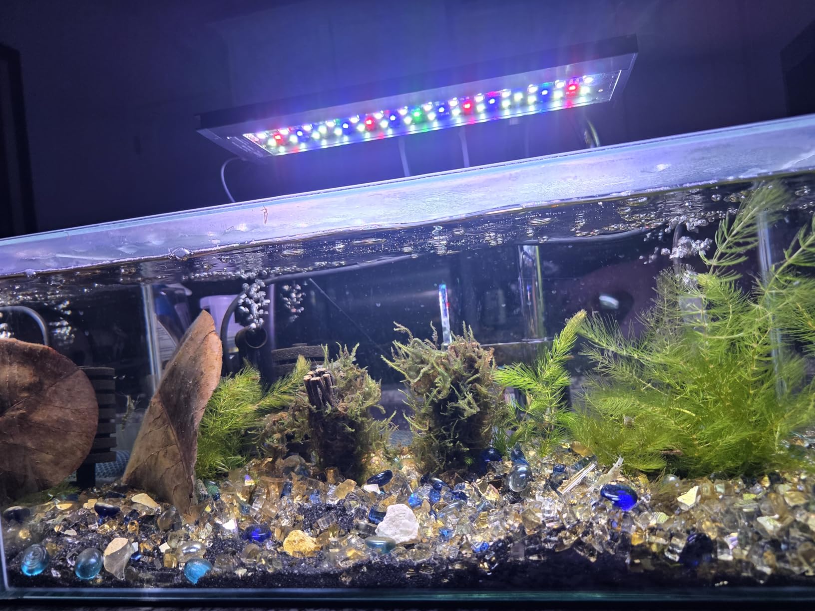 hygger Clip On 24/7 Lighting Aquarium LED Light, Sunrise-Daylight-Moonlight and DIY Mode, Adjustable Timer/Brightness Fish Tank Light with 7 Colors for Planted Tank (14W for 12~20in Tank) customer photo 2
