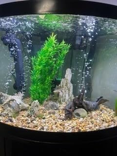 AA GKM24W Internal UV for Aquariums up to 120Ga customer photo 2