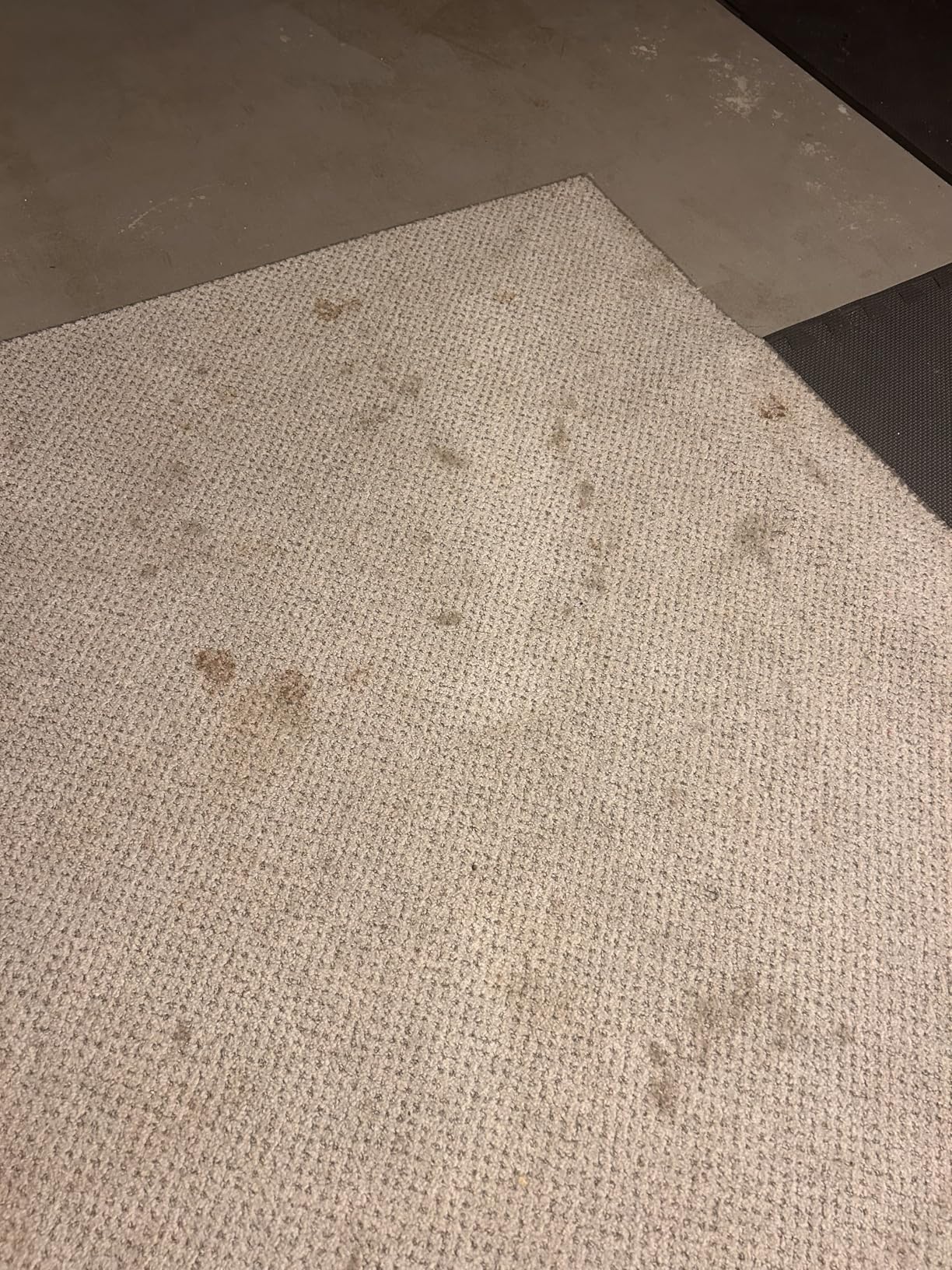 Hoover CleanSlate Plus Portable Carpet + Upholstery Spot Cleaner Machine, Powerful Suction with Versatile Tools, Pet Stain Remover, Car and Auto Detailer, Pair with Hoover Carpet Cleaner Solution customer photo 1